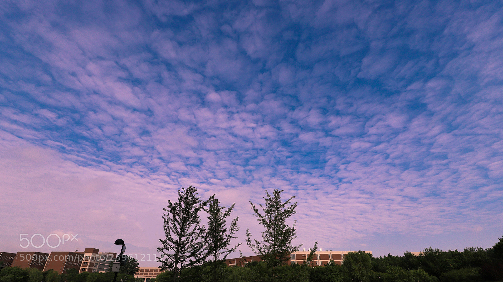Canon EOS 6D Mark II sample photo. 霞云 photography
