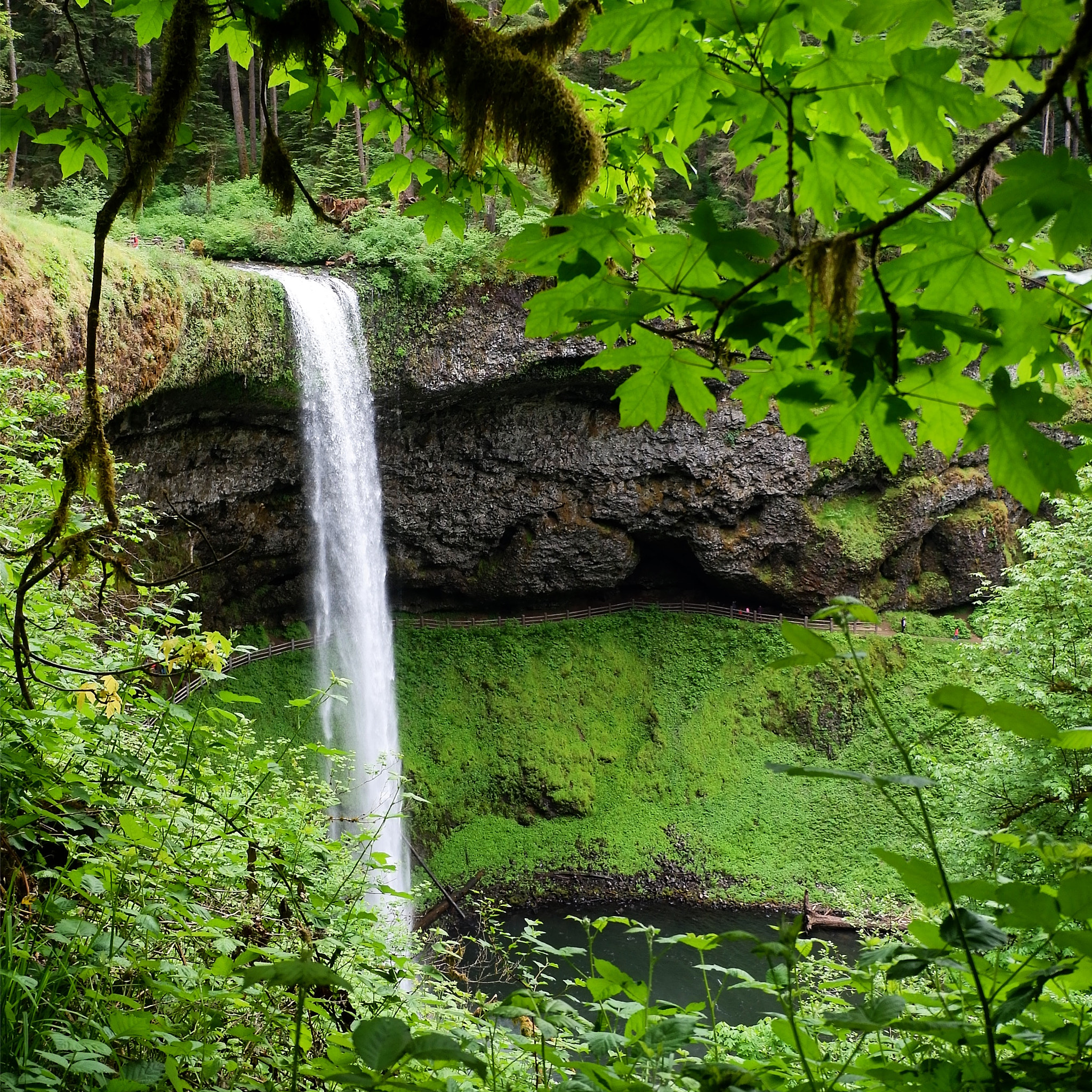 Fujifilm X-A10 sample photo. Let nature soothe you photography