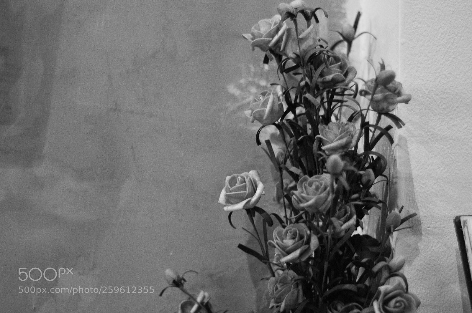 Nikon D300 sample photo. Tmt photography