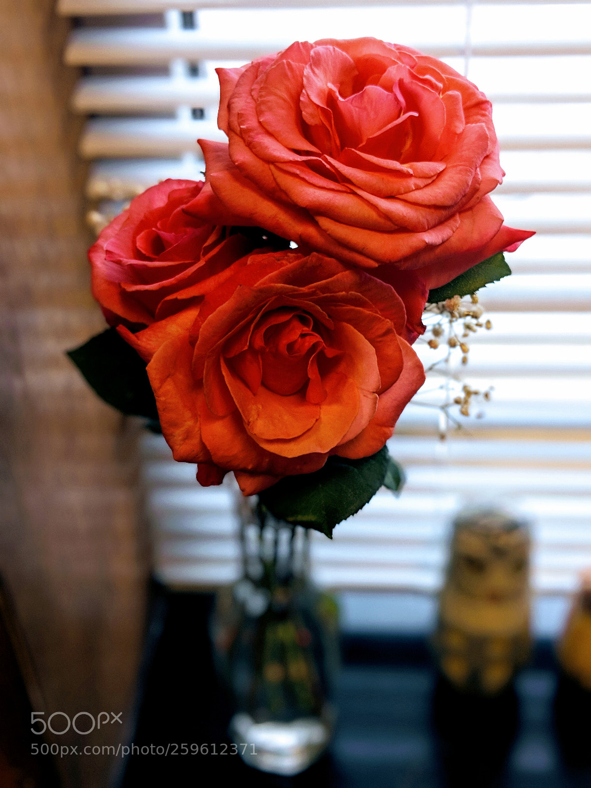 Google Pixel 2 XL sample photo. Untitled photography
