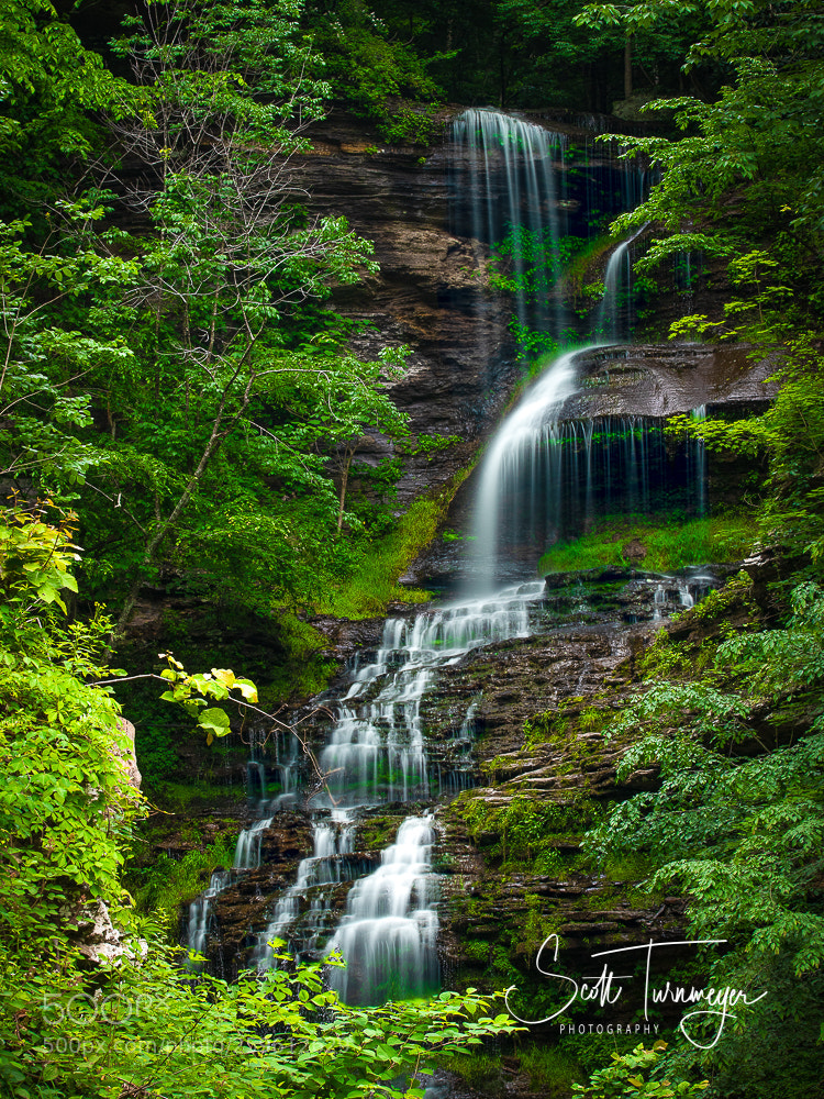 Sony a7R III sample photo. Cathedral falls photography