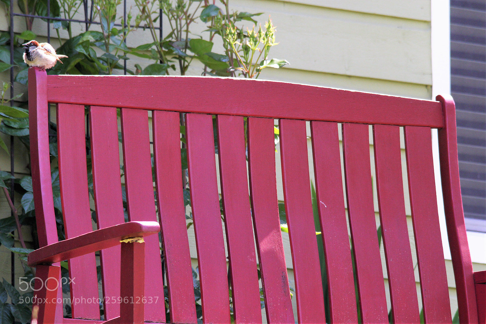 Canon EOS 60D sample photo. Take a seat, please! photography