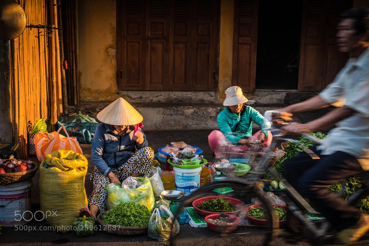 Nikon D750 sample photo. Morning glory photography