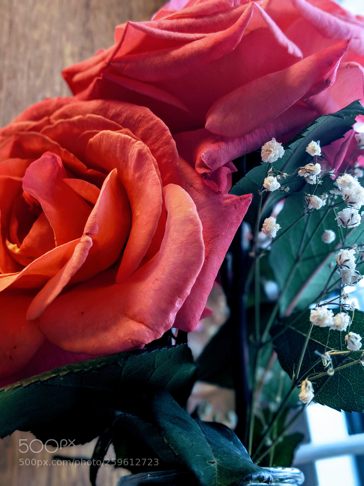 Google Pixel 2 XL sample photo. Untitled photography
