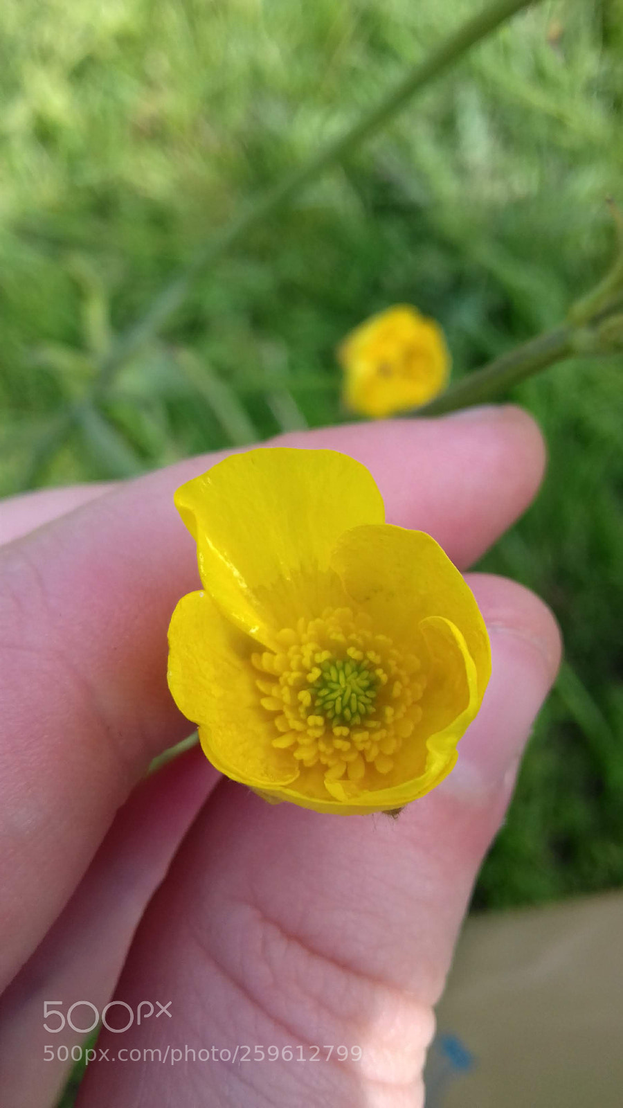 Samsung Galaxy J3(2016) sample photo. Untitled photography