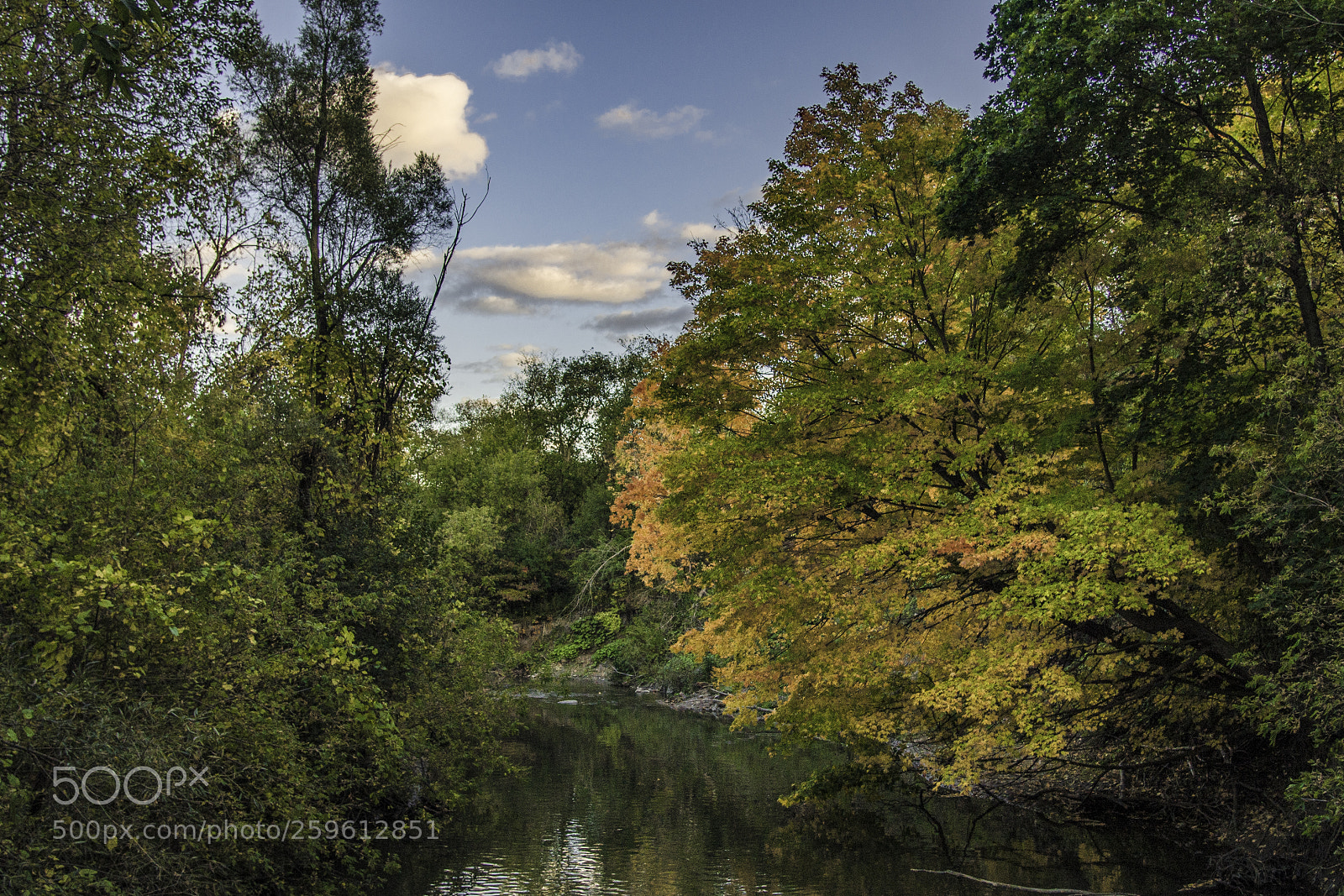 Nikon D610 sample photo. Autumn river photography