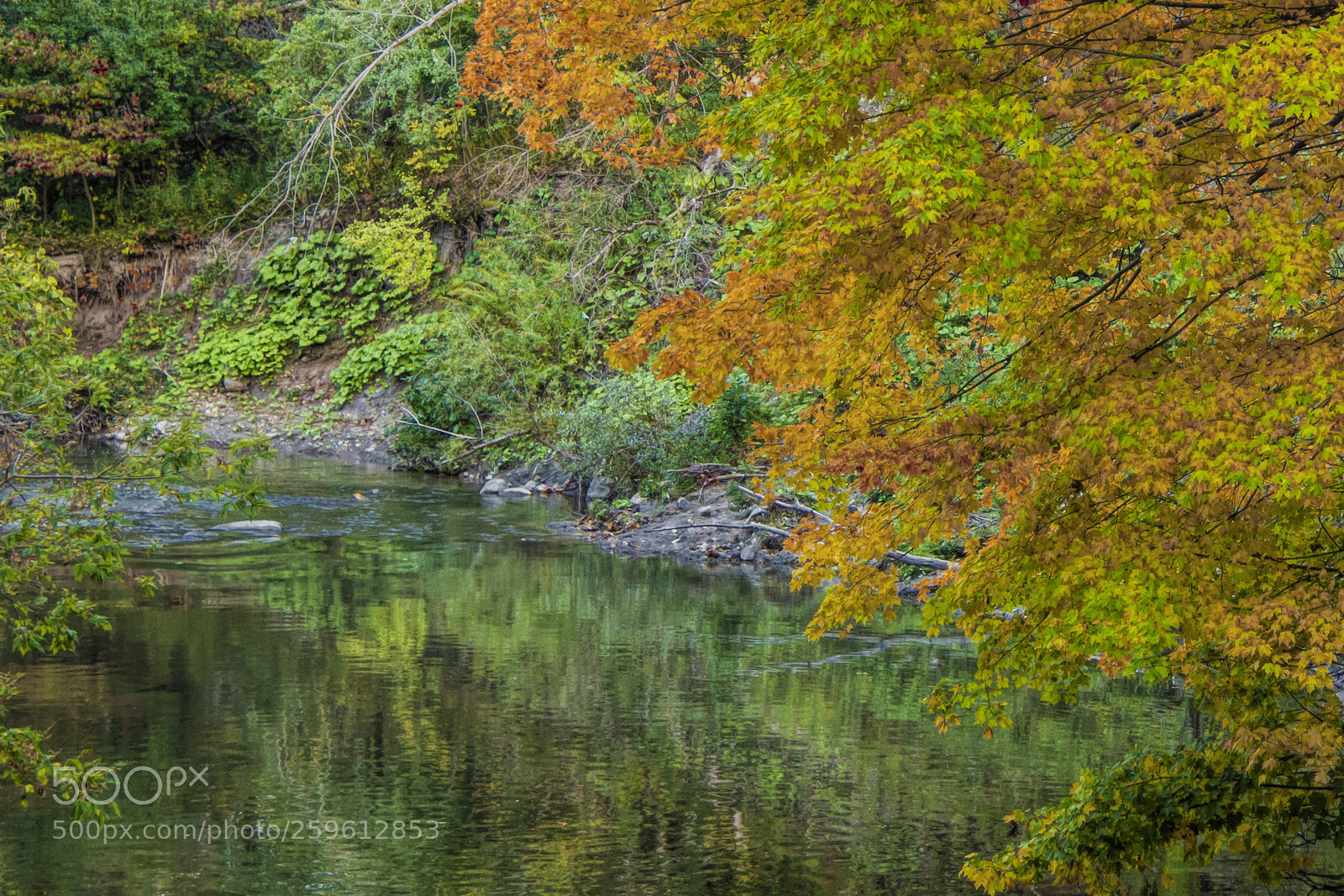 Nikon D610 sample photo. Autumn splendor photography