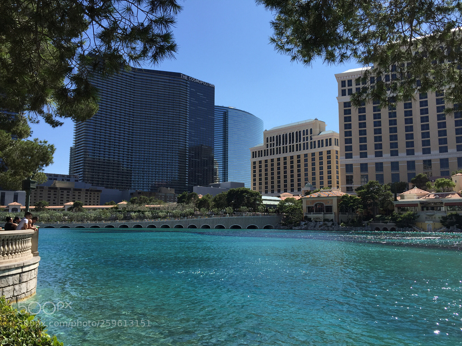 Apple iPhone 6 sample photo. Water show?? photography