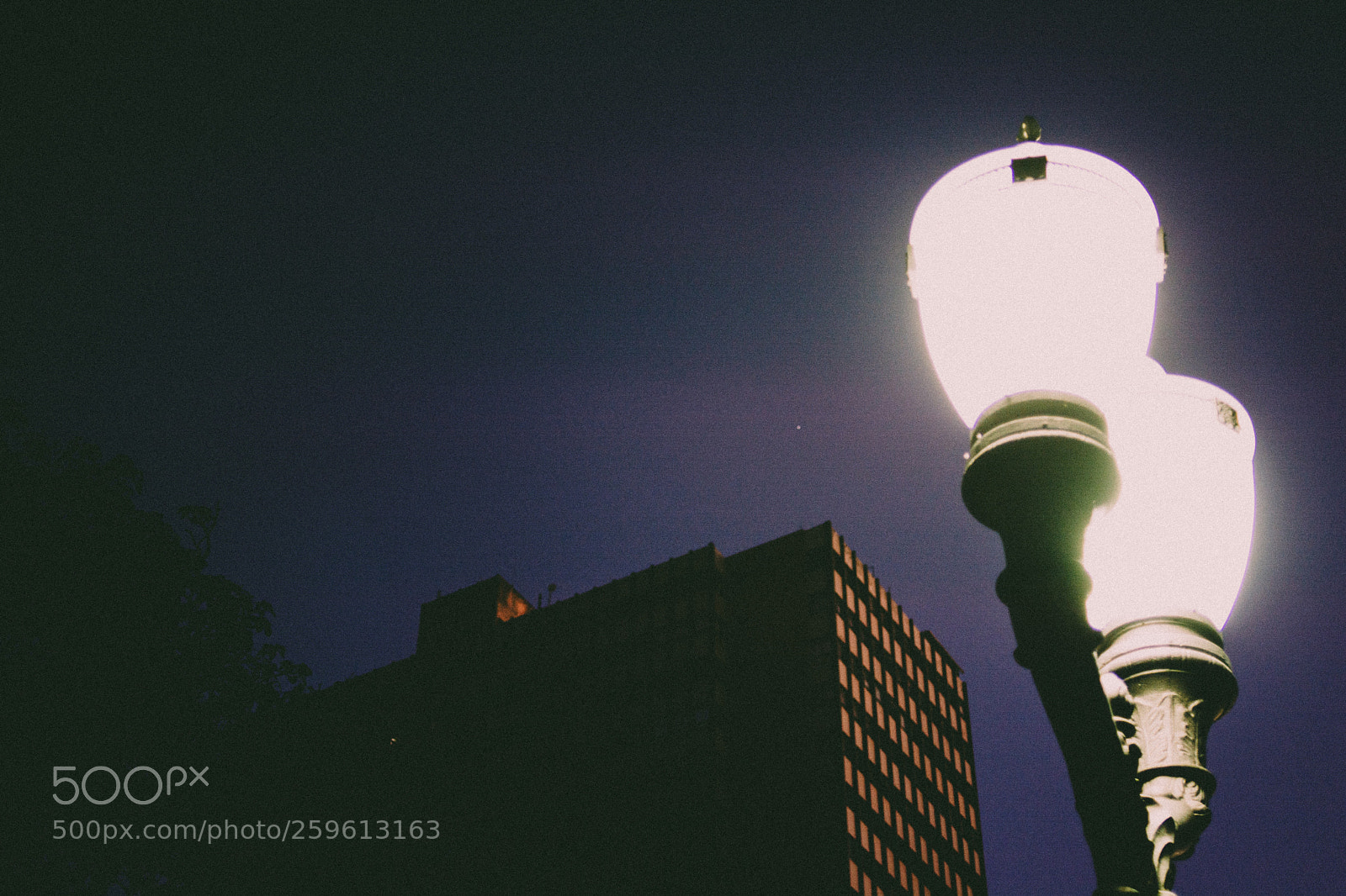 Nikon D7100 sample photo. Walk photography