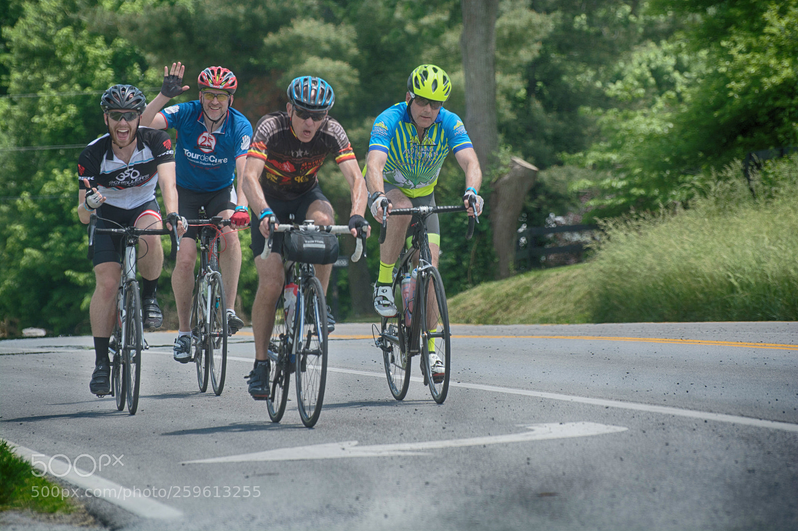 Nikon D7100 sample photo. Horsey 100  -  2018  -  kentucky photography