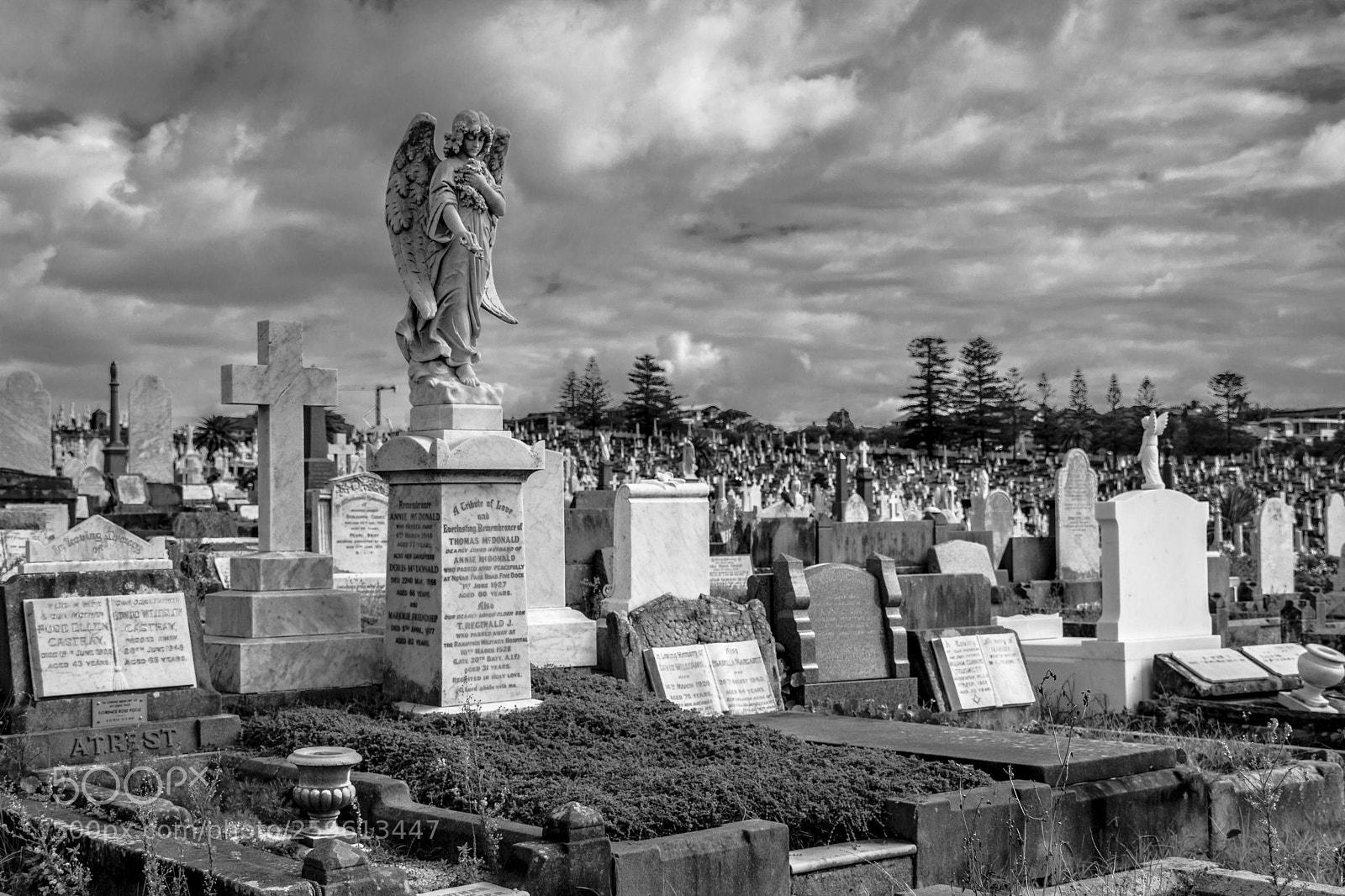 Nikon D7100 sample photo. Cemetery photography