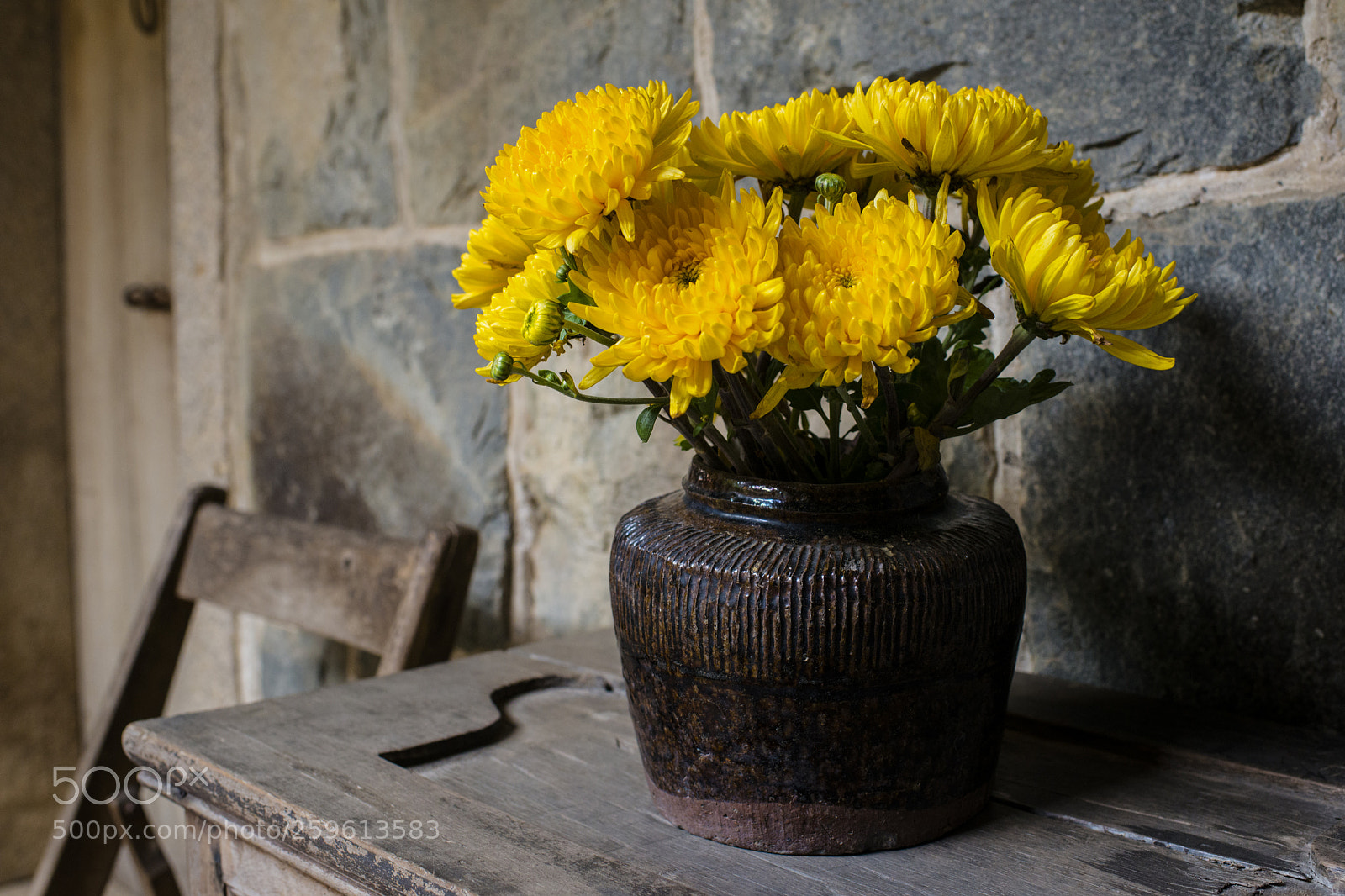 Nikon D800 sample photo. Carefree 1968 * flower 02 photography