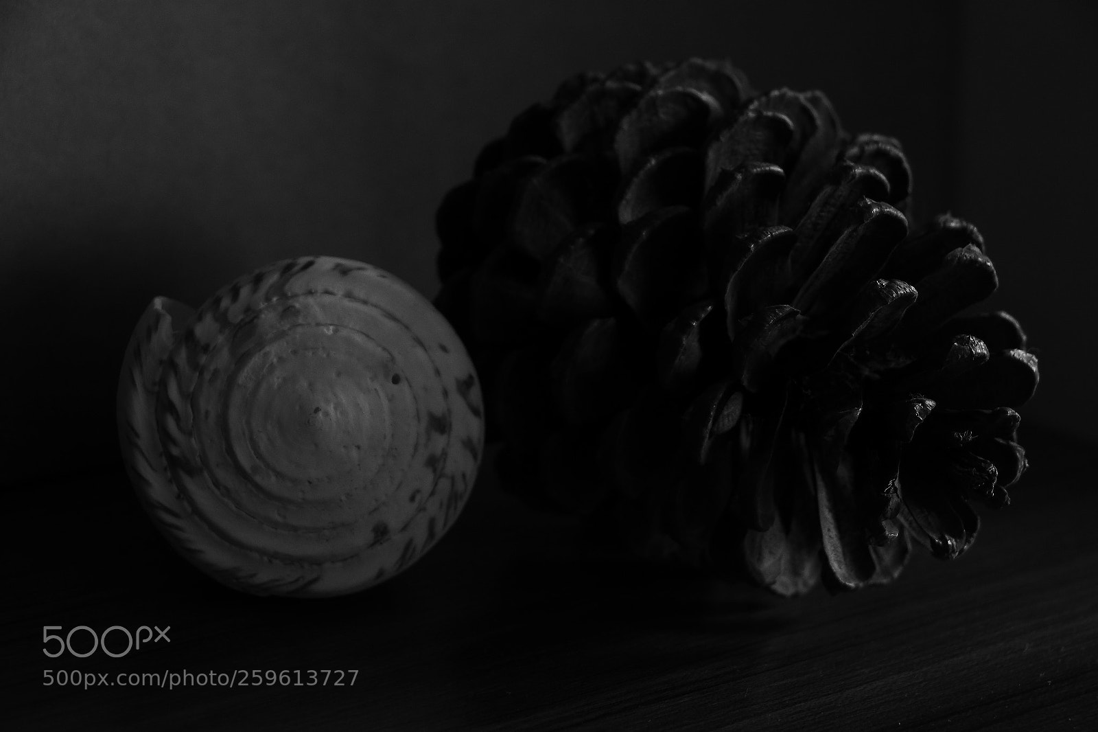 Canon EOS 700D (EOS Rebel T5i / EOS Kiss X7i) sample photo. Pine cone photography