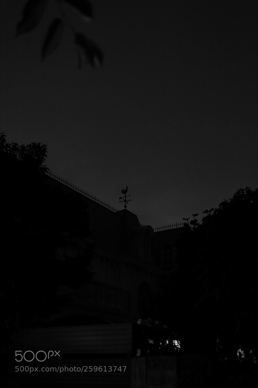 Canon EOS 6D + Canon EF 40mm F2.8 STM sample photo. For m photography