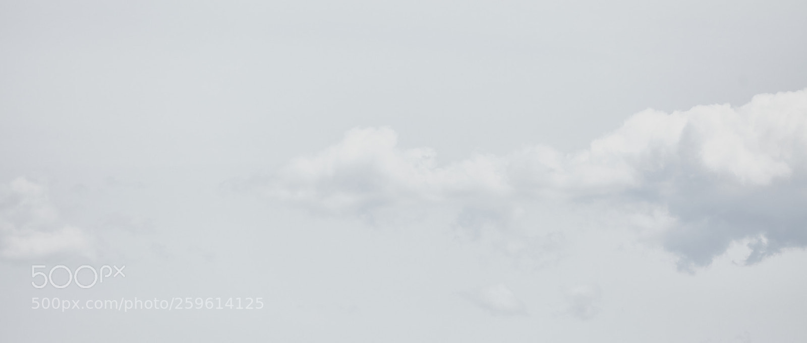 Canon EOS 5D Mark II sample photo. Shades photography