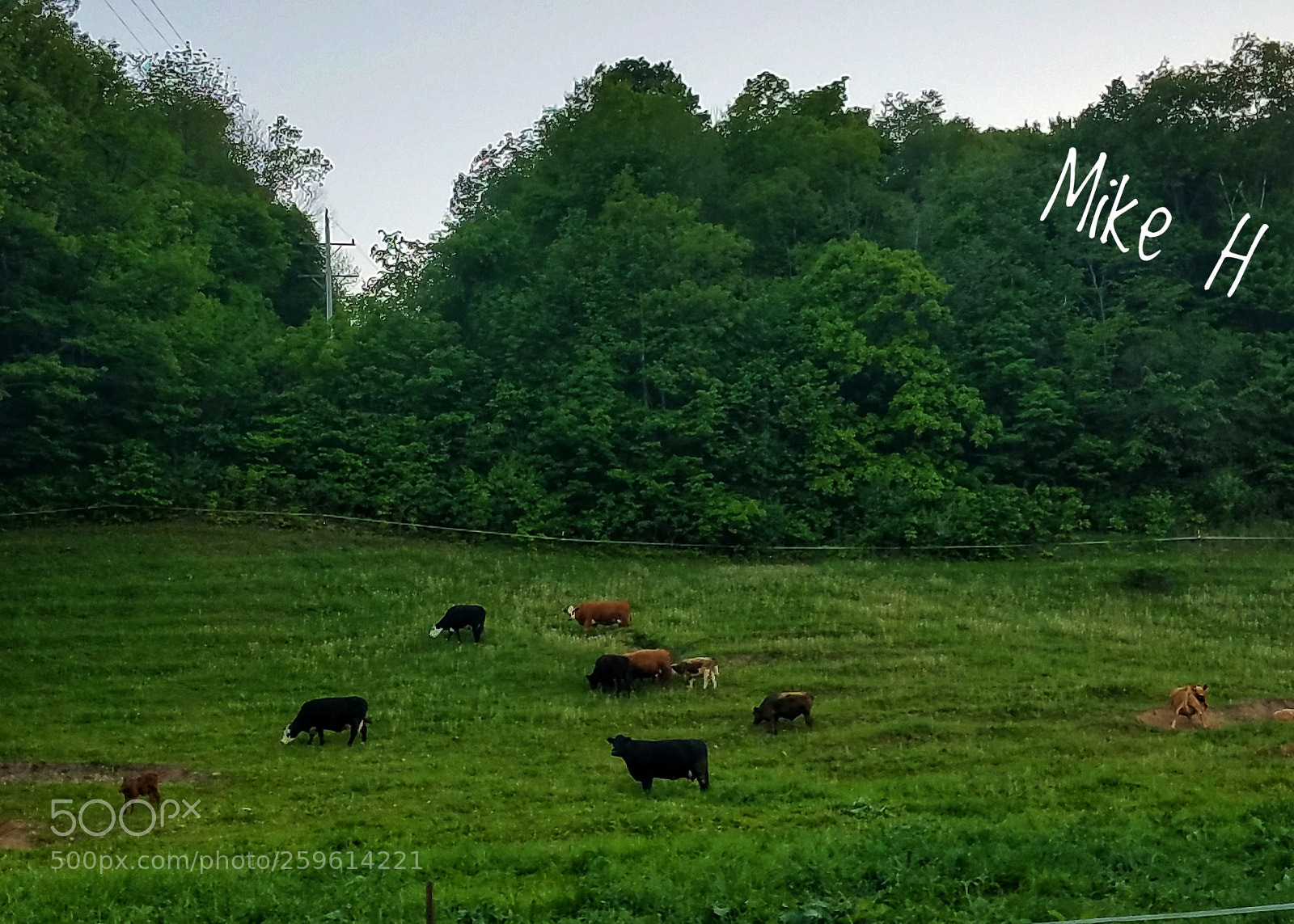 Samsung Galaxy S7 sample photo. Untitled photography