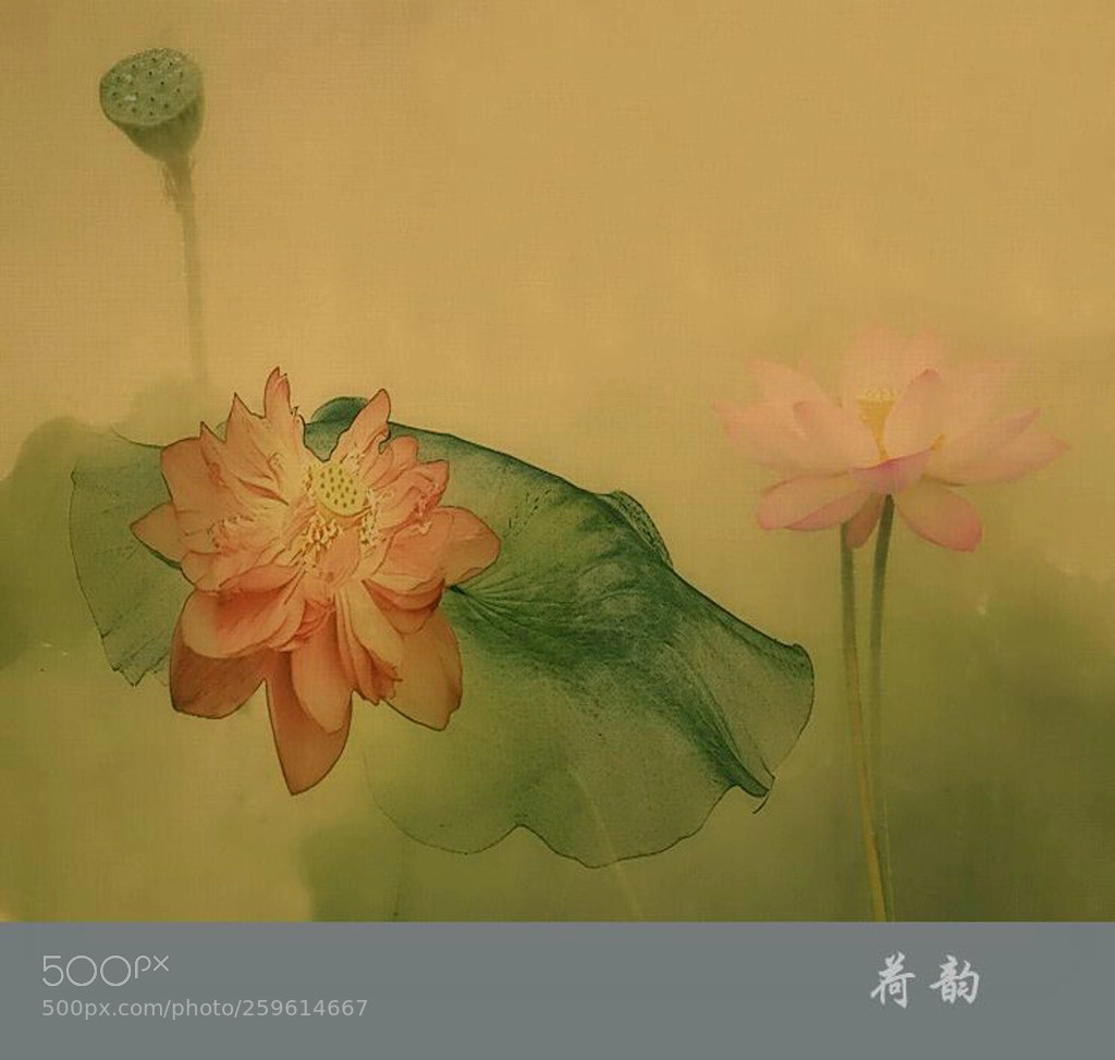 Nikon D300 sample photo. 画意荷花 photography