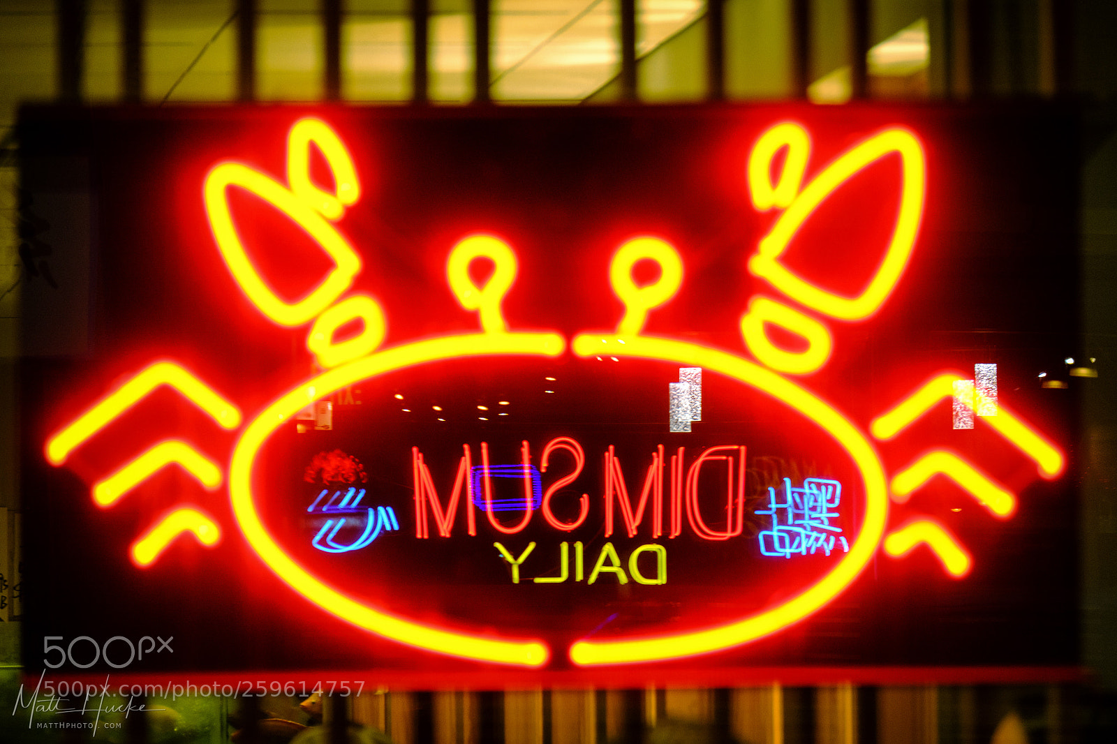 Fujifilm X-T20 sample photo. Dim sum daily photography