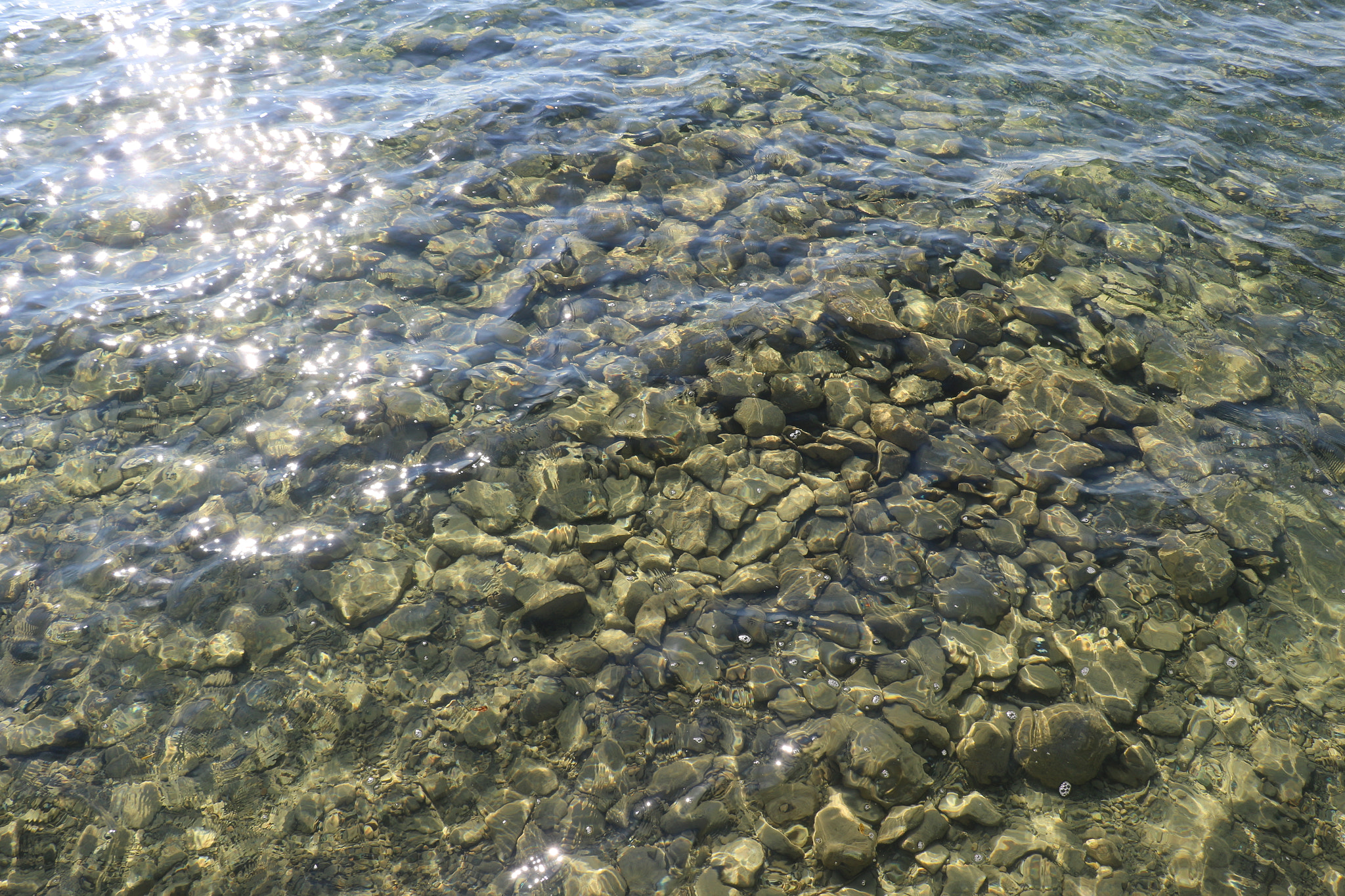 Canon EOS 7D Mark II sample photo. Water photography