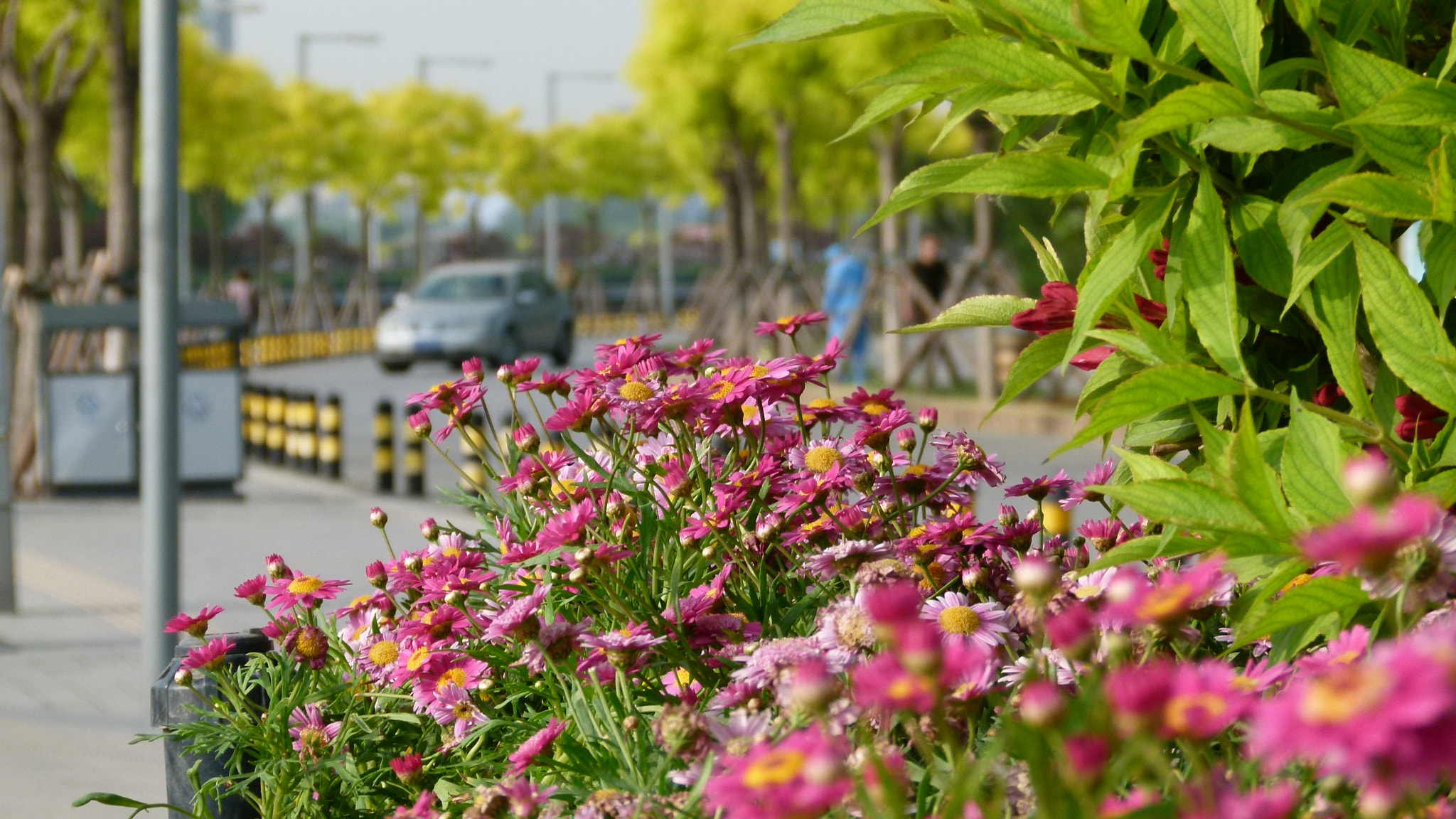 Leica V-Lux 2 sample photo
