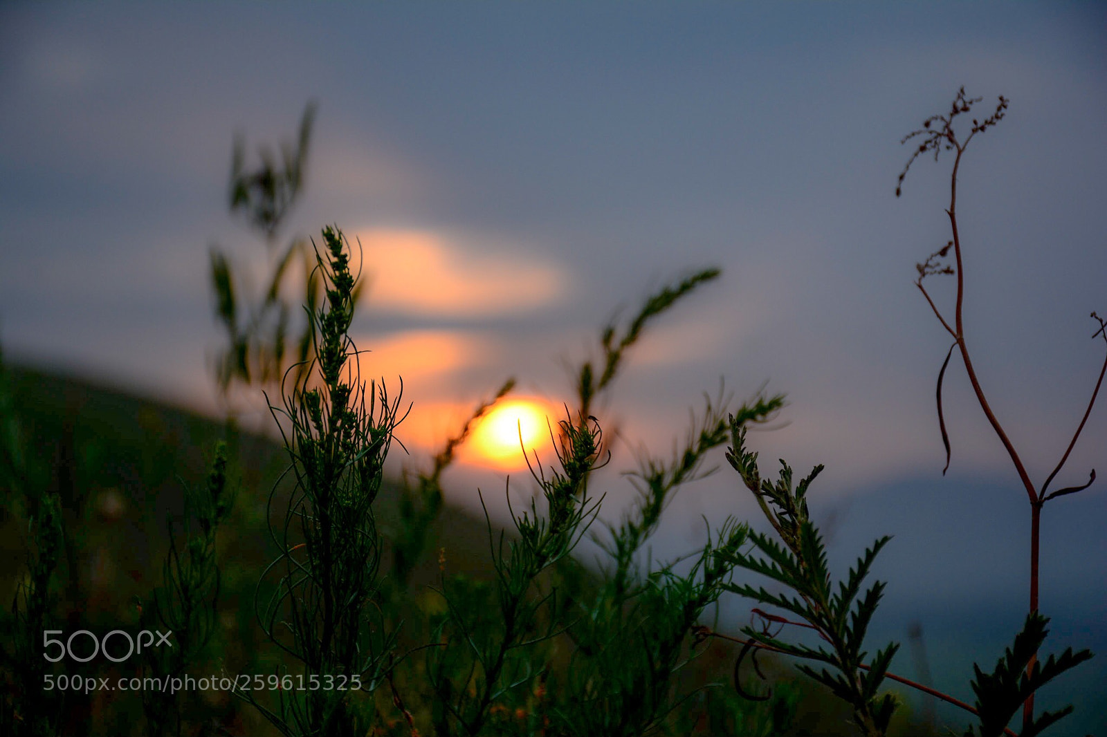 Nikon D7100 sample photo. Untitled photography