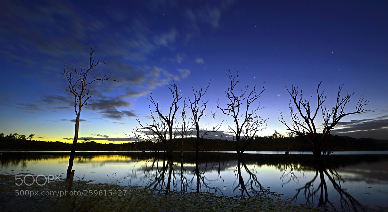 Nikon D3200 sample photo. Blue hour at wyaralong photography