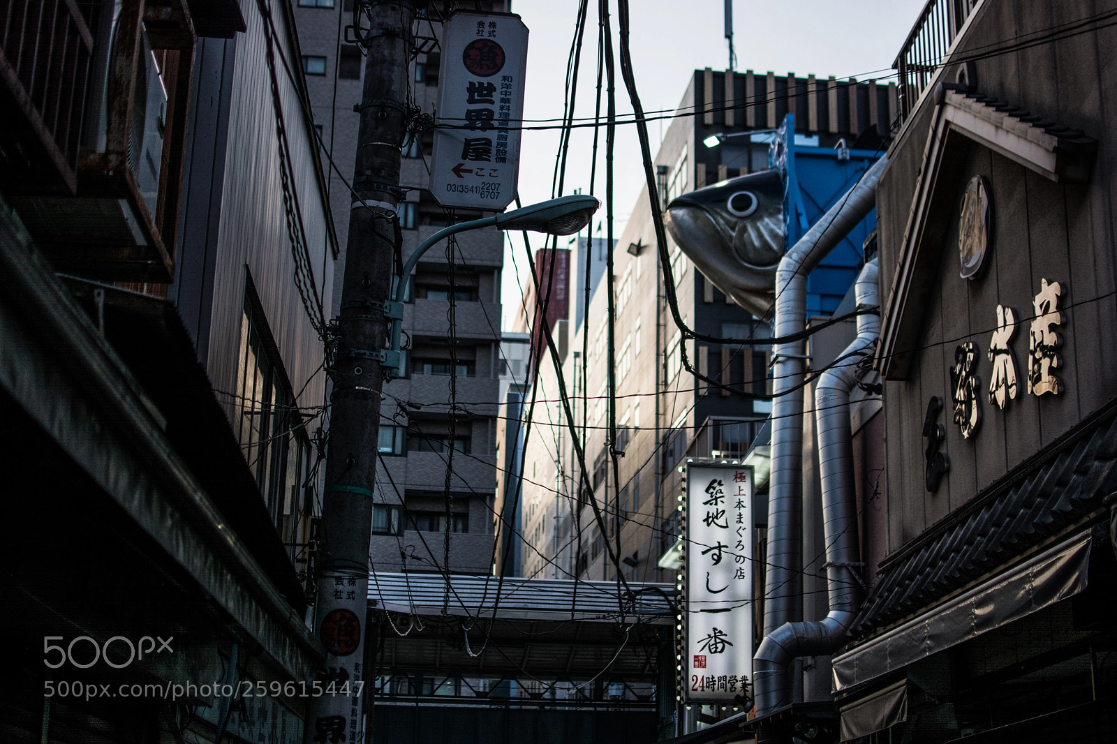 Nikon D7100 sample photo. Tsukiji photography