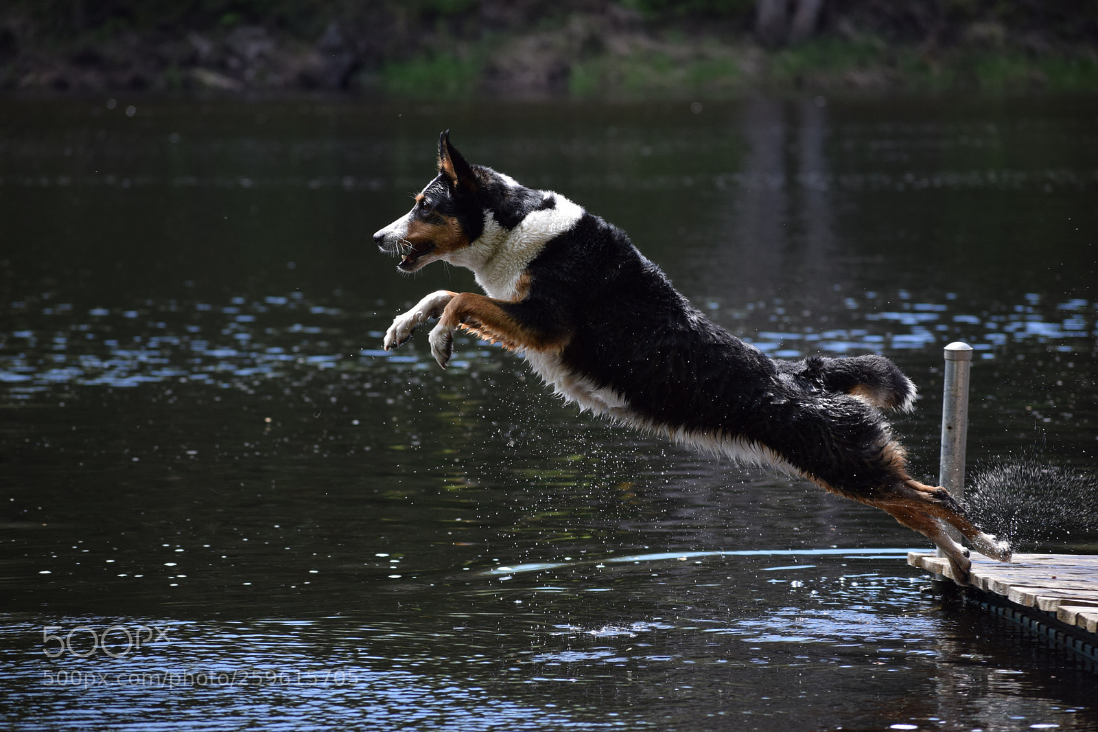 Nikon D5300 sample photo. Long jump photography
