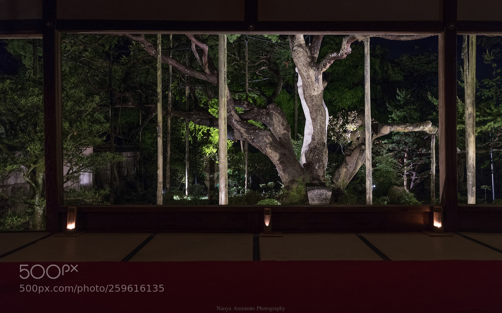 Nikon D850 sample photo. Through the frame photography