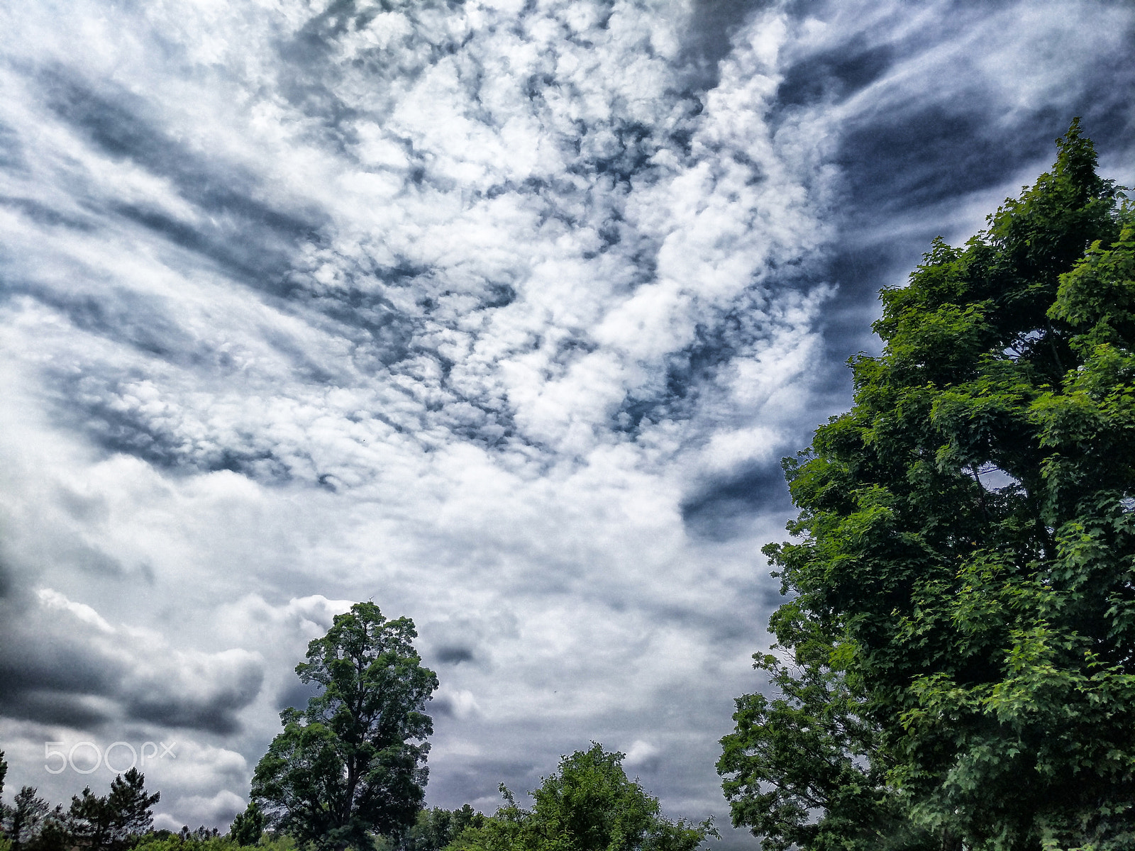 Google Pixel XL sample photo. Clouds trees photography