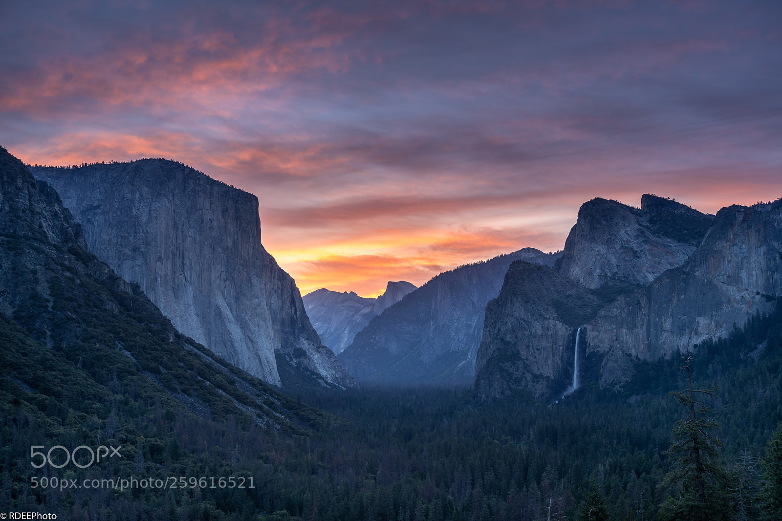 Sony a7 III sample photo. Tunnel view sunrise photography