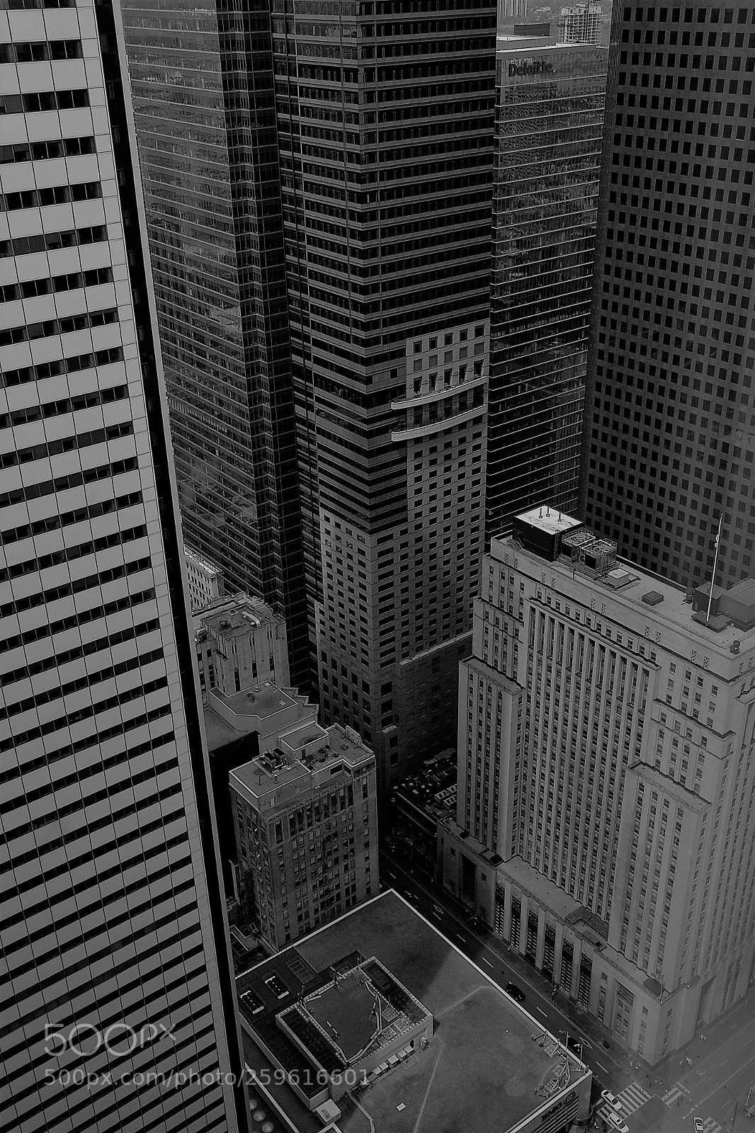 Sony DSC-R1 sample photo. Stone jungles photography