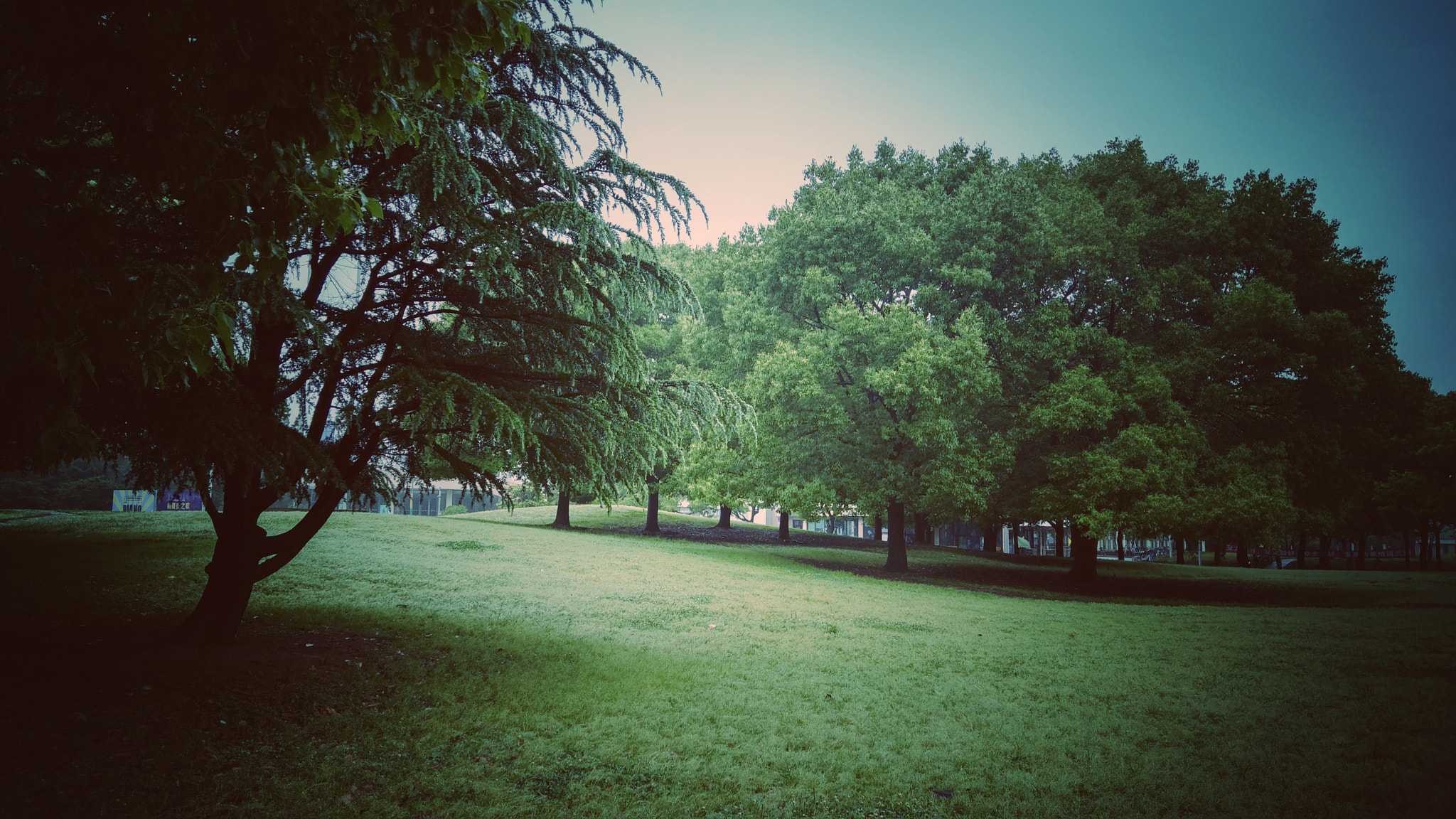 HTC U11 sample photo