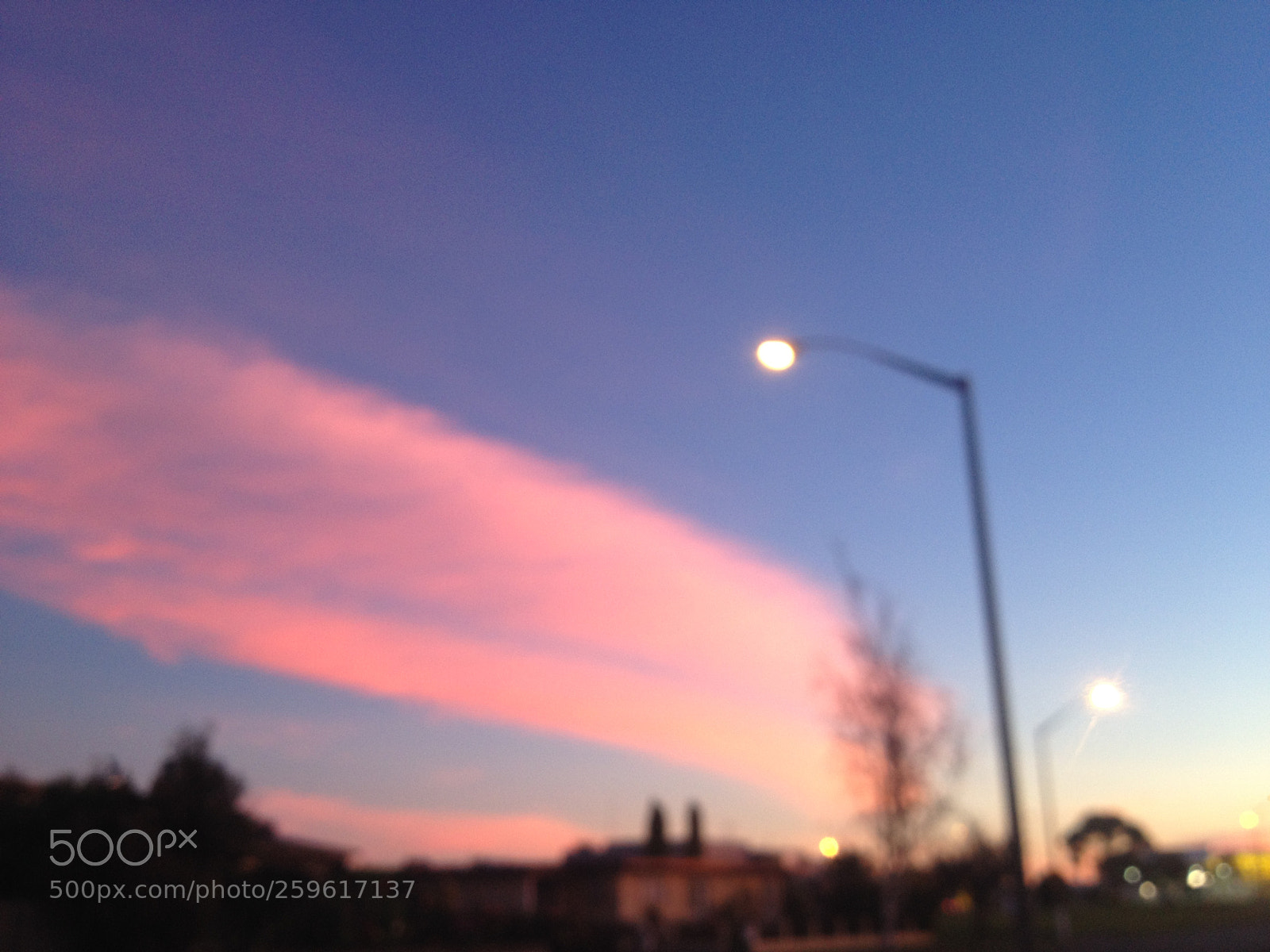 Apple iPhone 4S sample photo. Pink smudge photography