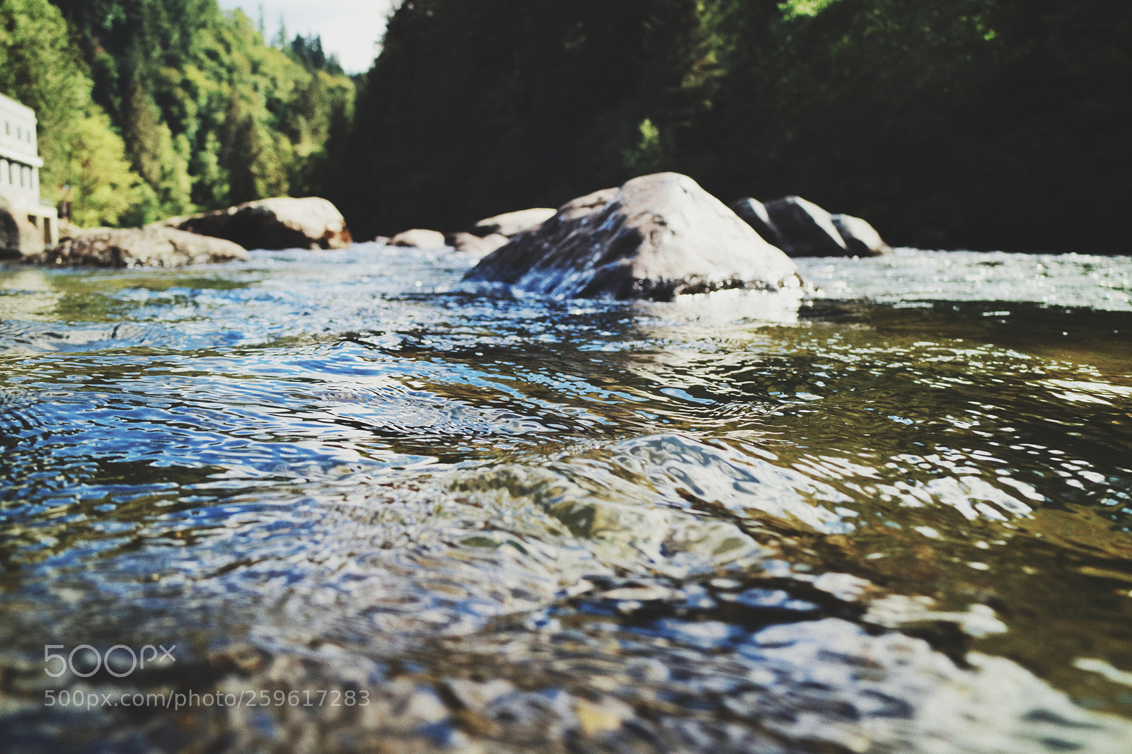 Canon EOS M3 sample photo. Untitled photography