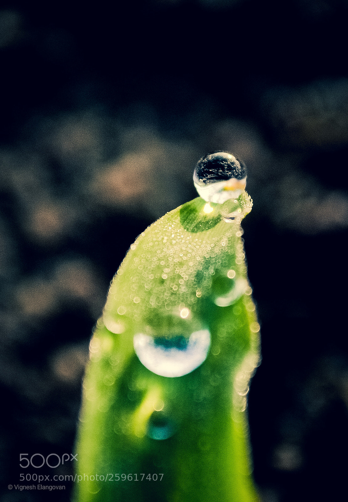Nikon D3100 sample photo. Untitled photography