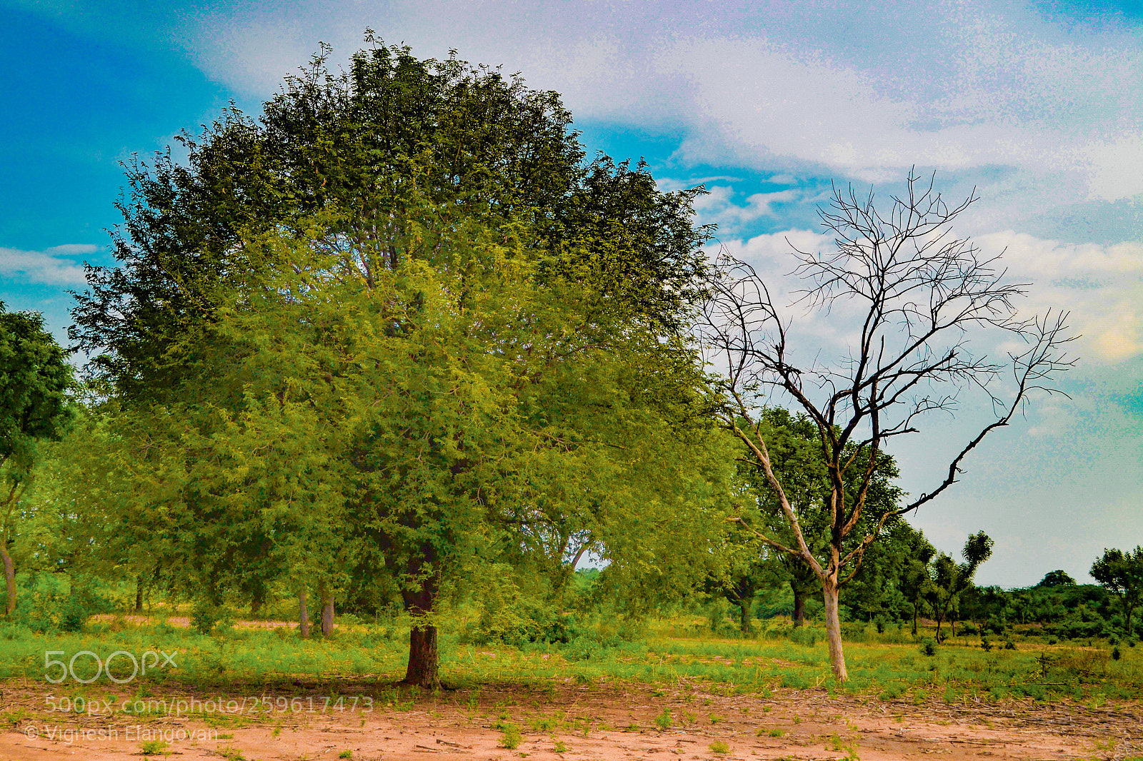 Nikon D3100 sample photo. Untitled photography