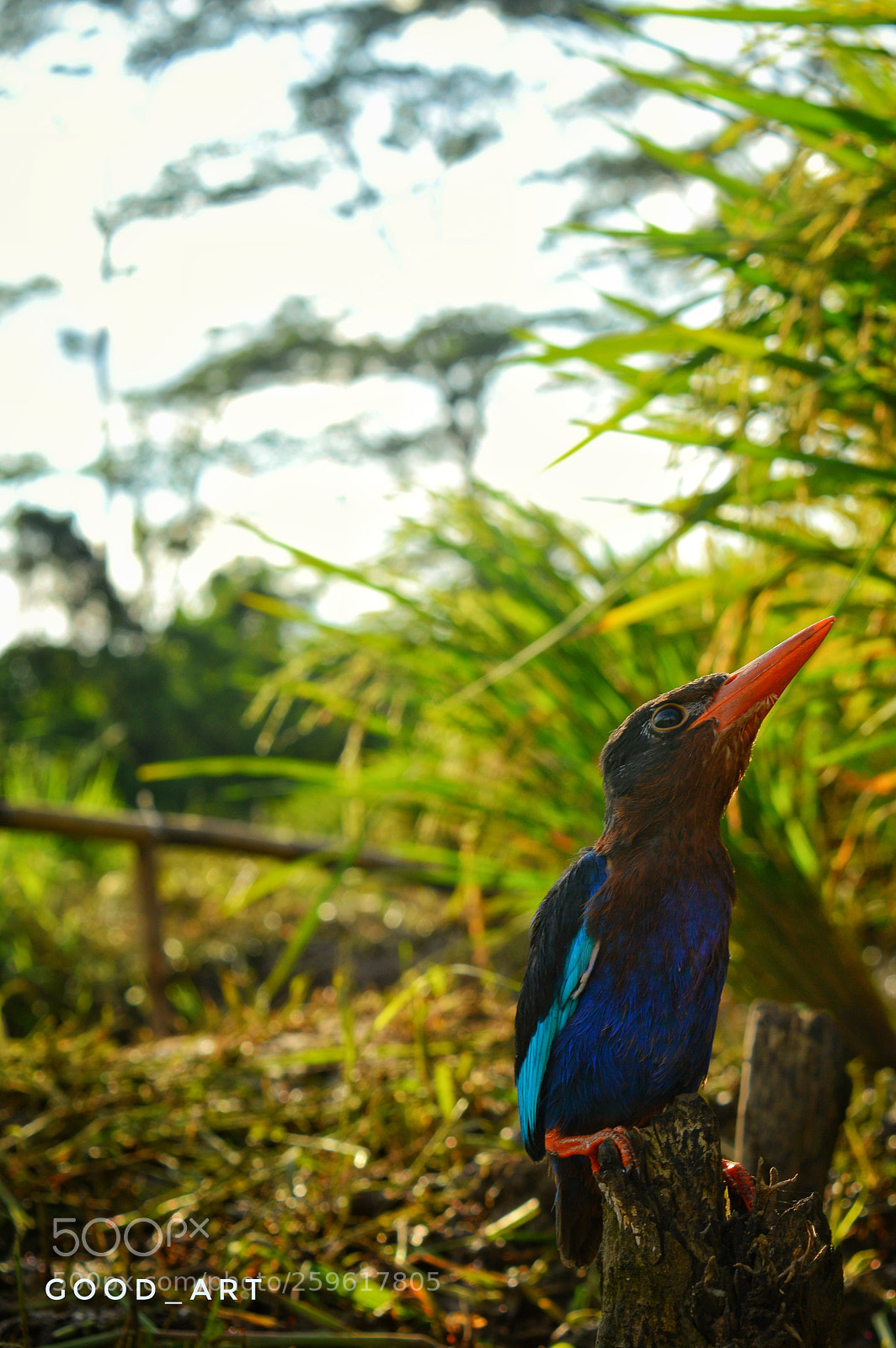 Nikon D3200 sample photo. Untitled photography