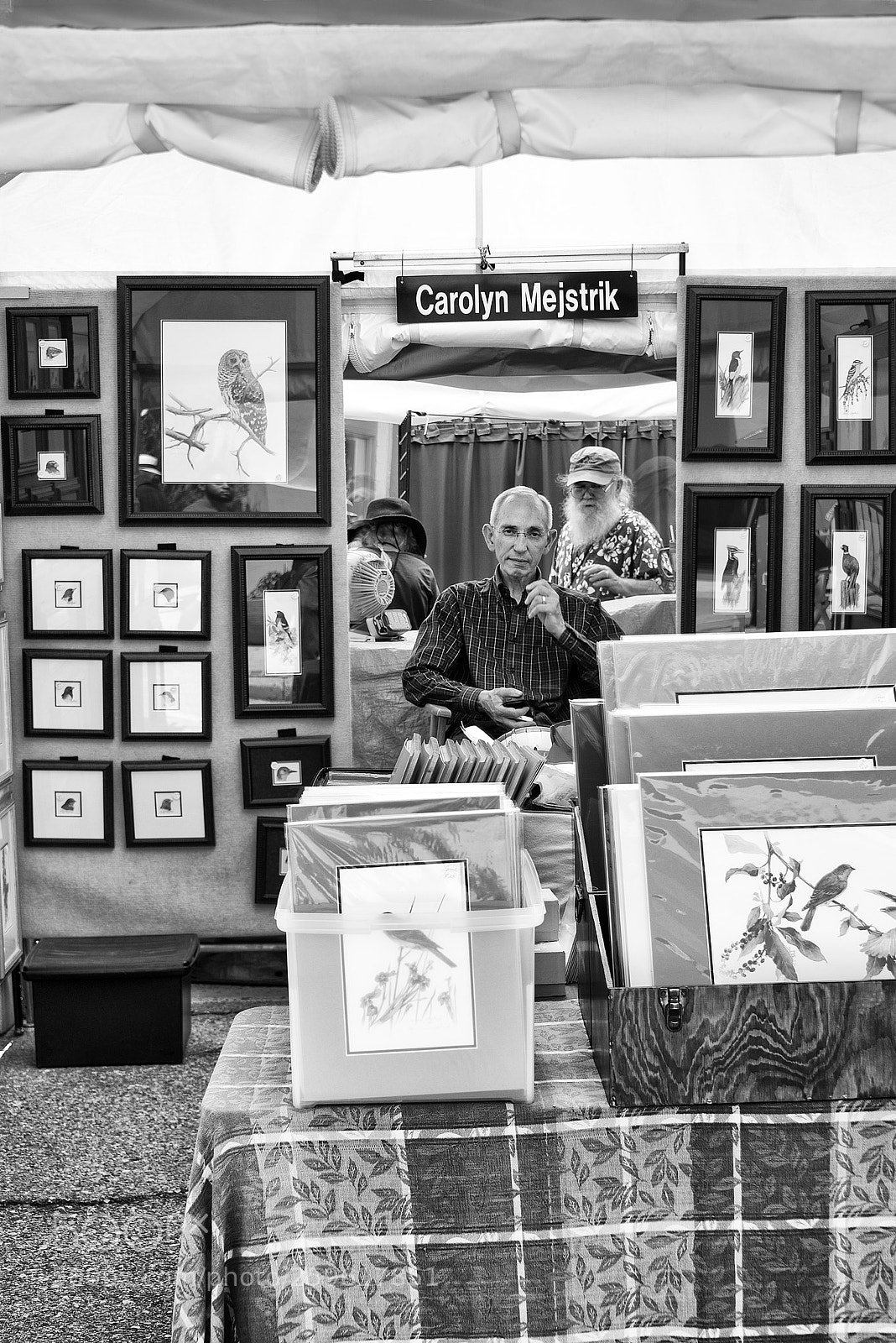 Nikon D610 sample photo. Booth paseo arts fair photography