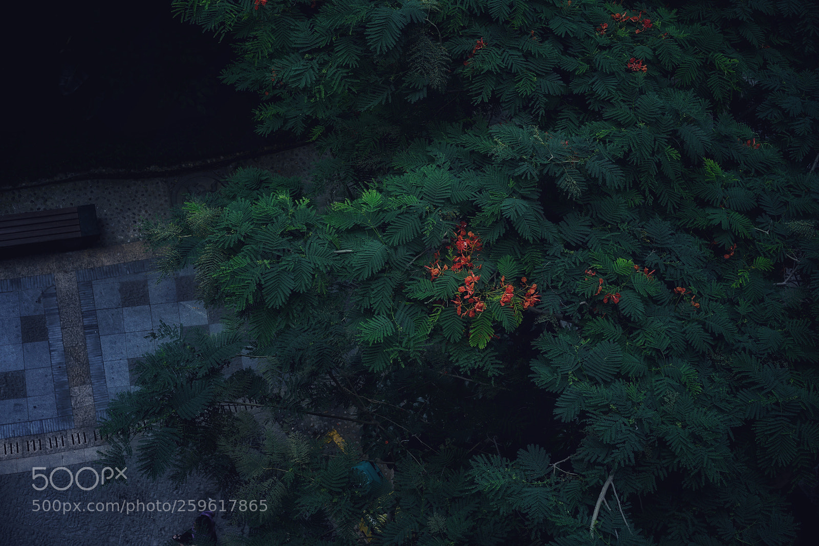 Sony a7R II sample photo. Hot photography