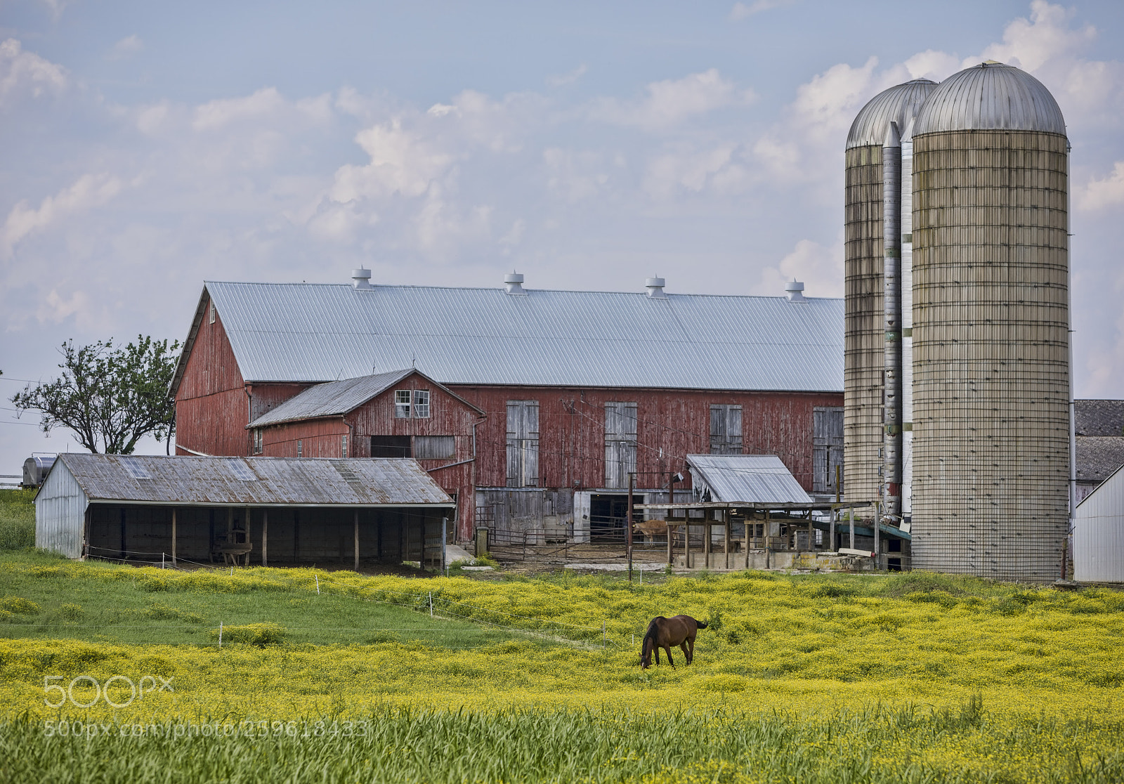Canon EOS 5D Mark IV sample photo. Farm colors photography