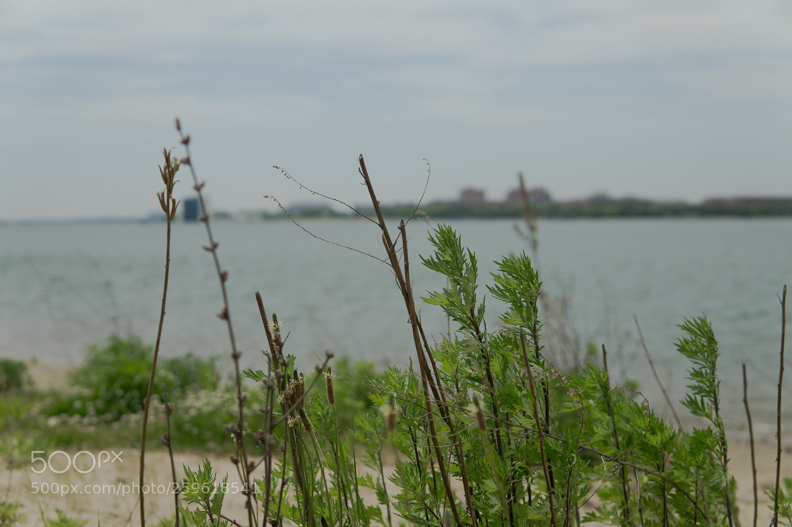 Sony a6000 sample photo. Dsc photography