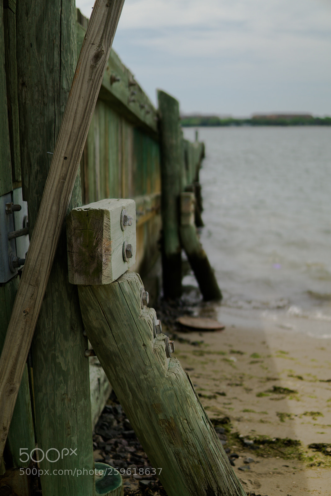 Sony a6000 sample photo. Dsc photography