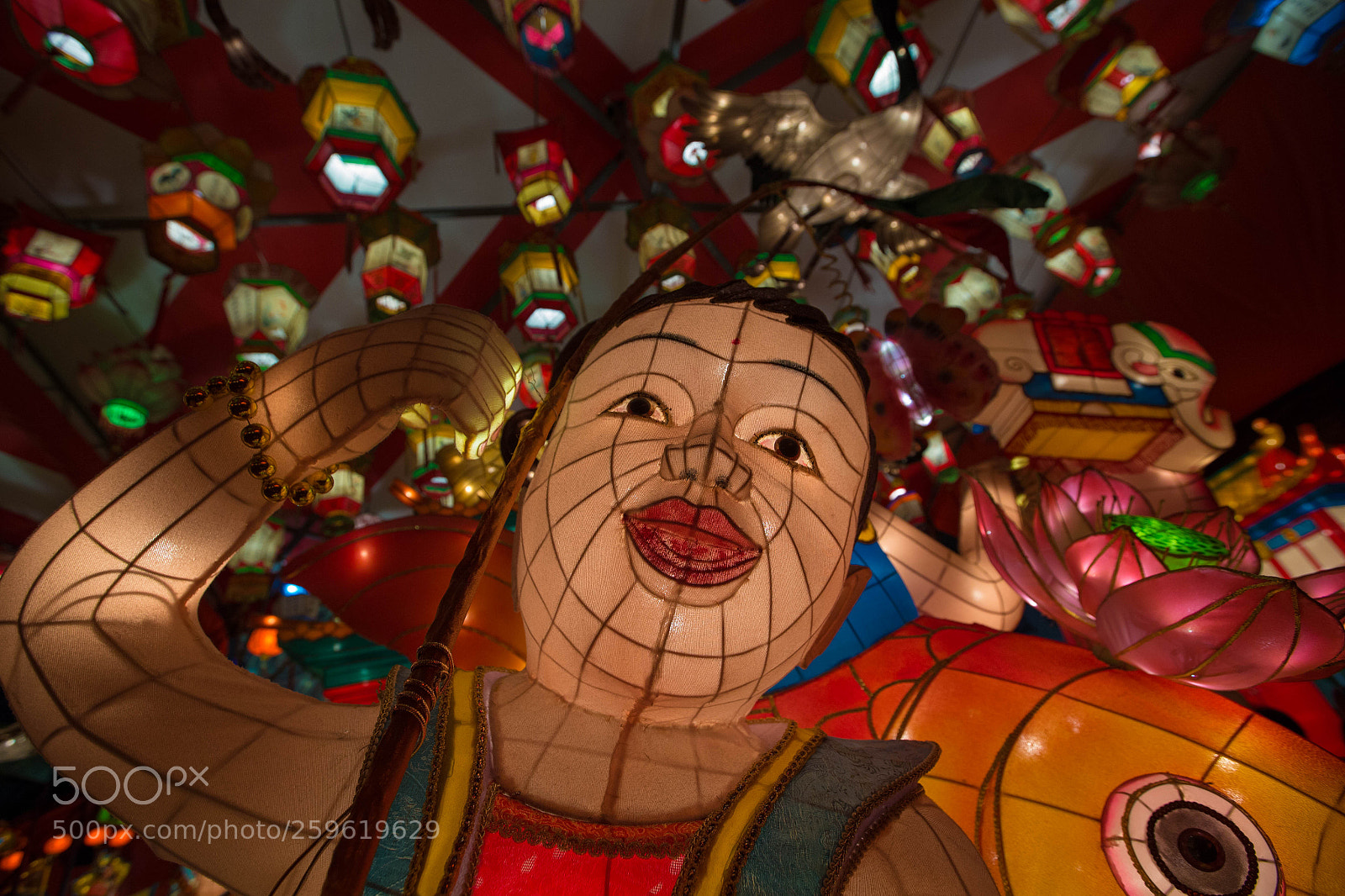 Canon EOS-1D X sample photo. Lantern festival photography