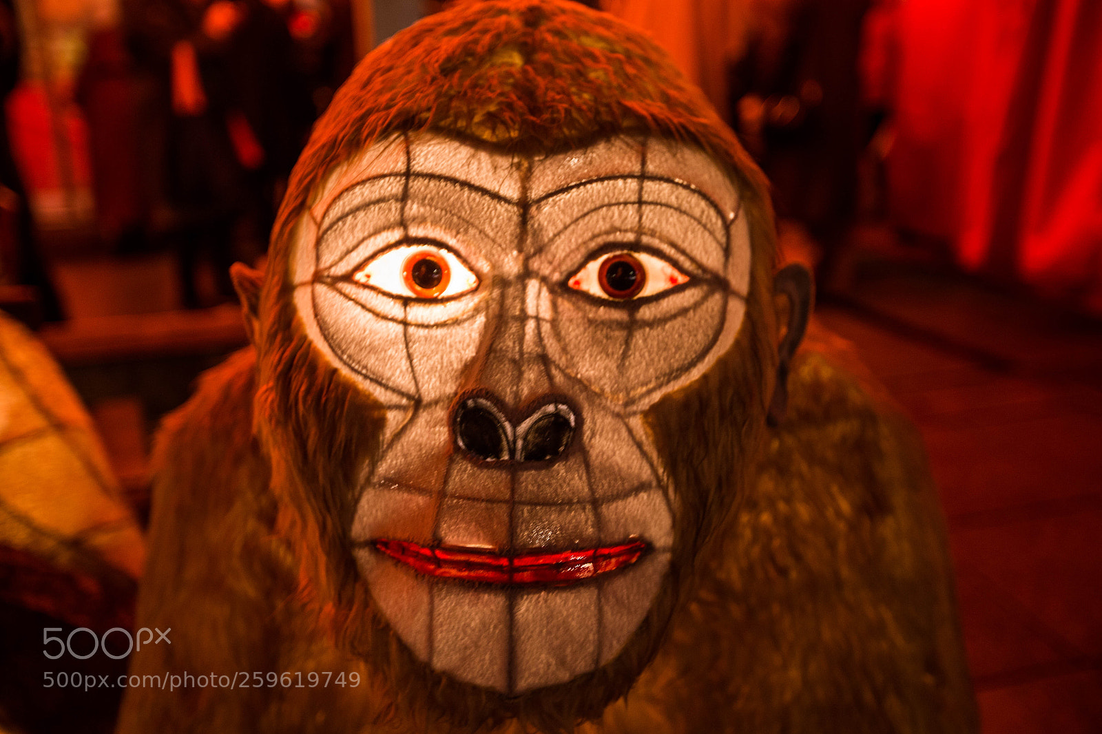Canon EOS-1D X sample photo. Lantern festival photography