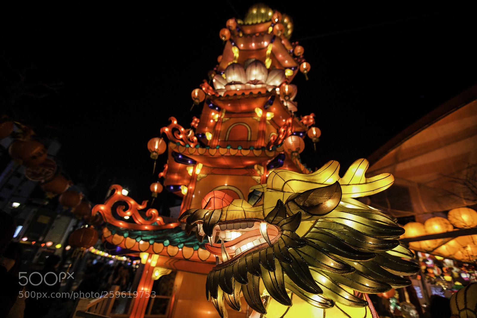 Canon EOS-1D X sample photo. Lantern festival photography
