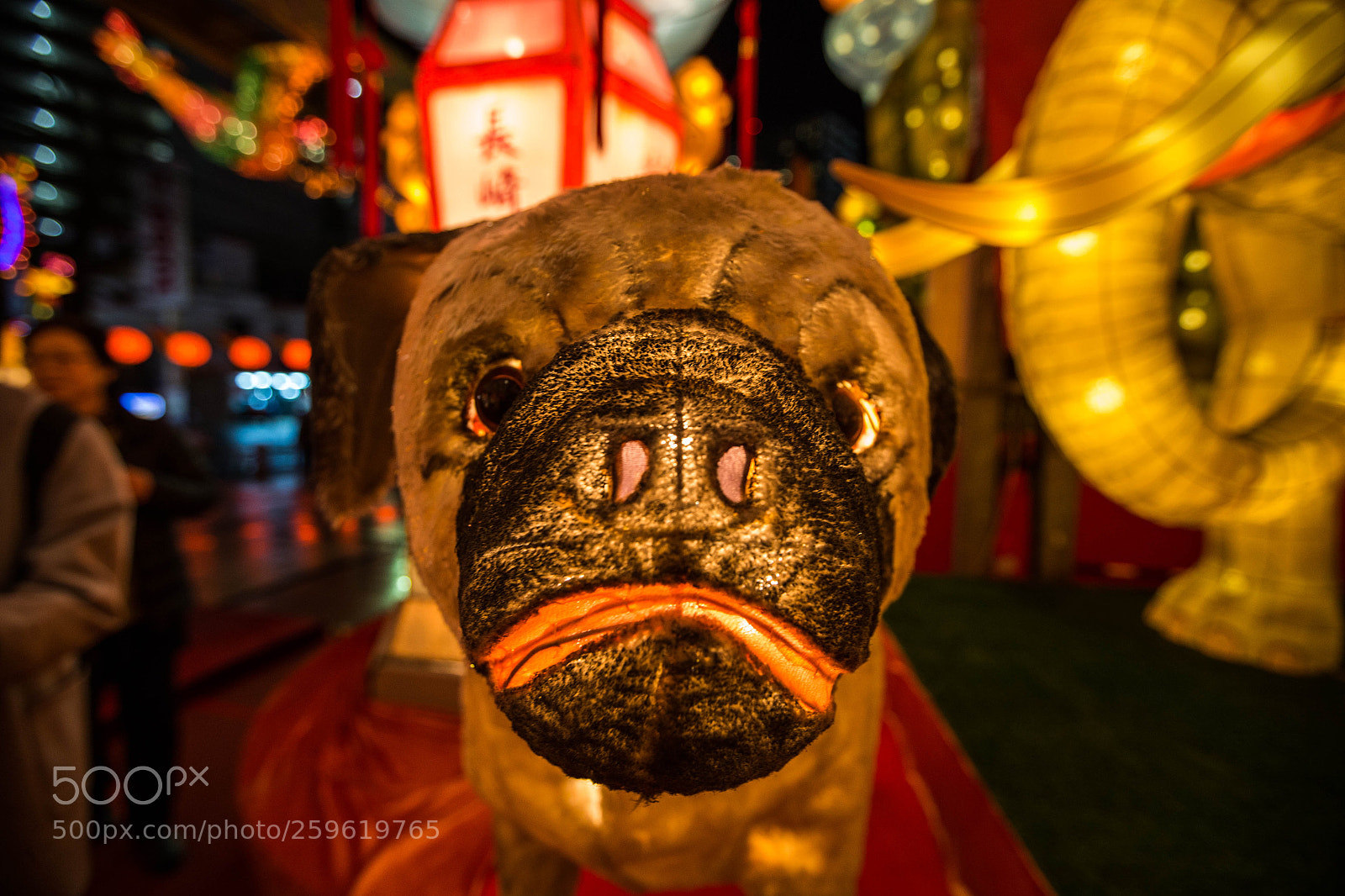 Canon EOS-1D X sample photo. Lantern festival photography