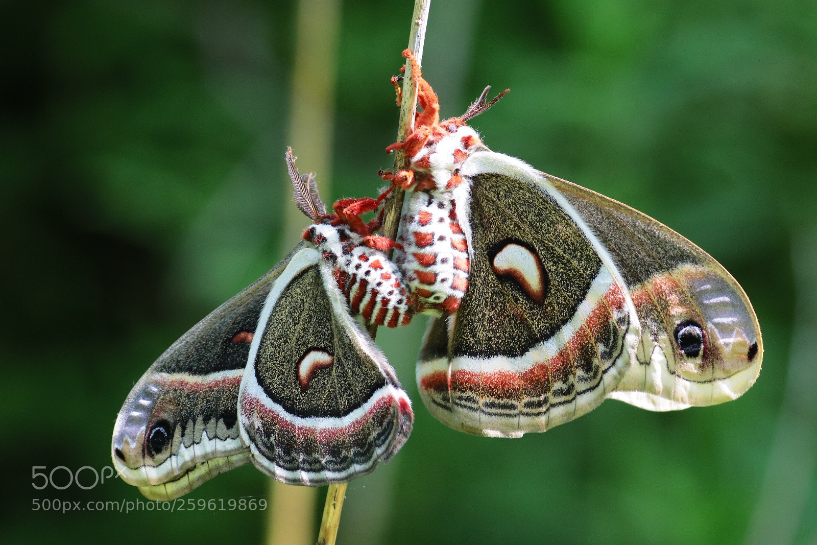 Canon EOS 80D sample photo. Untitled photography