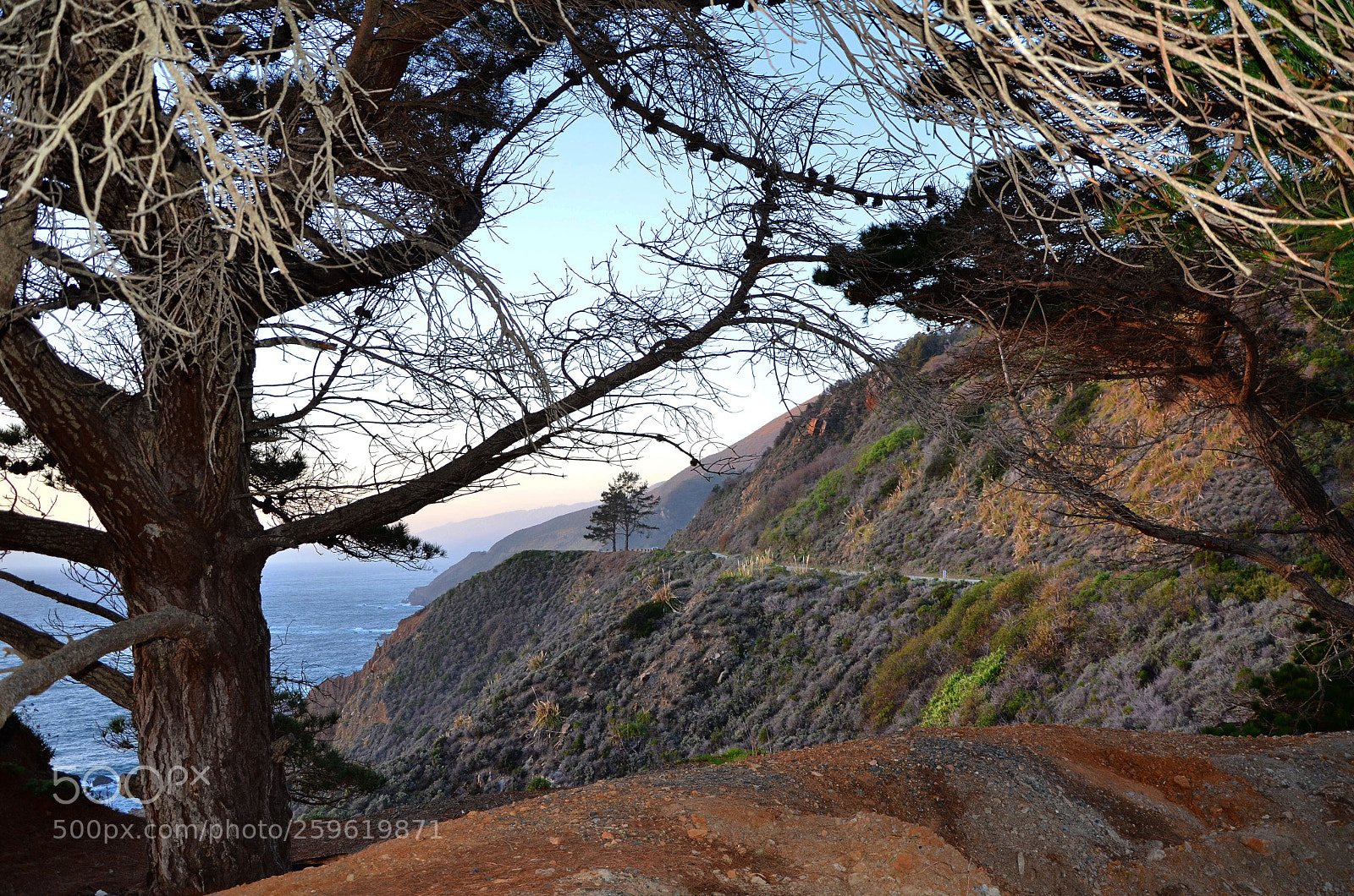 Nikon D7000 sample photo. Big sur . california ? photography
