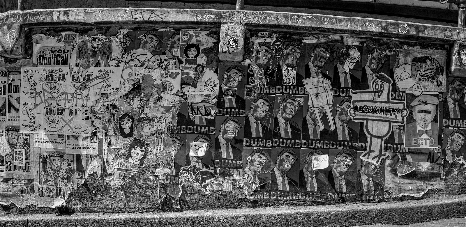 Pentax K-3 II sample photo. Seattle photography